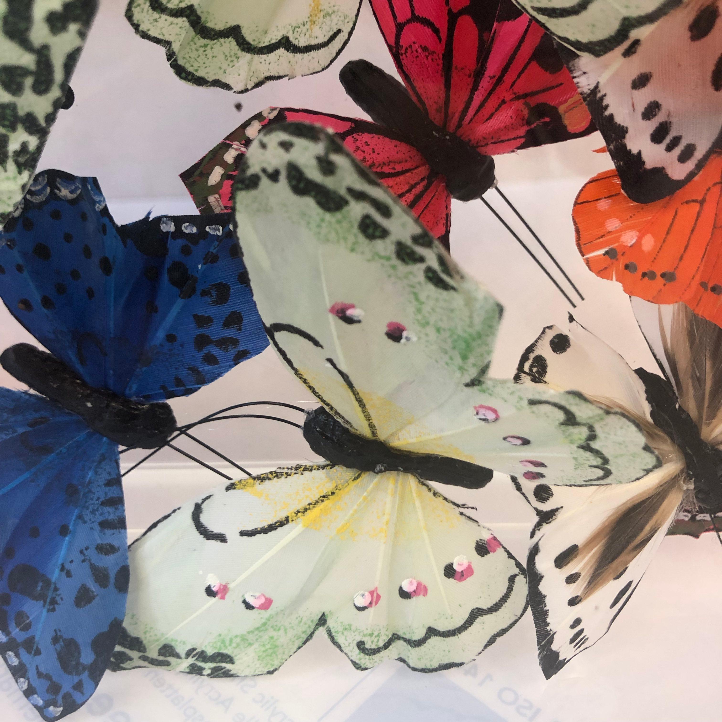 Michael Olsen, Northern Brown Angus, Butterfly Art, Quirky Art, 3D Art 2