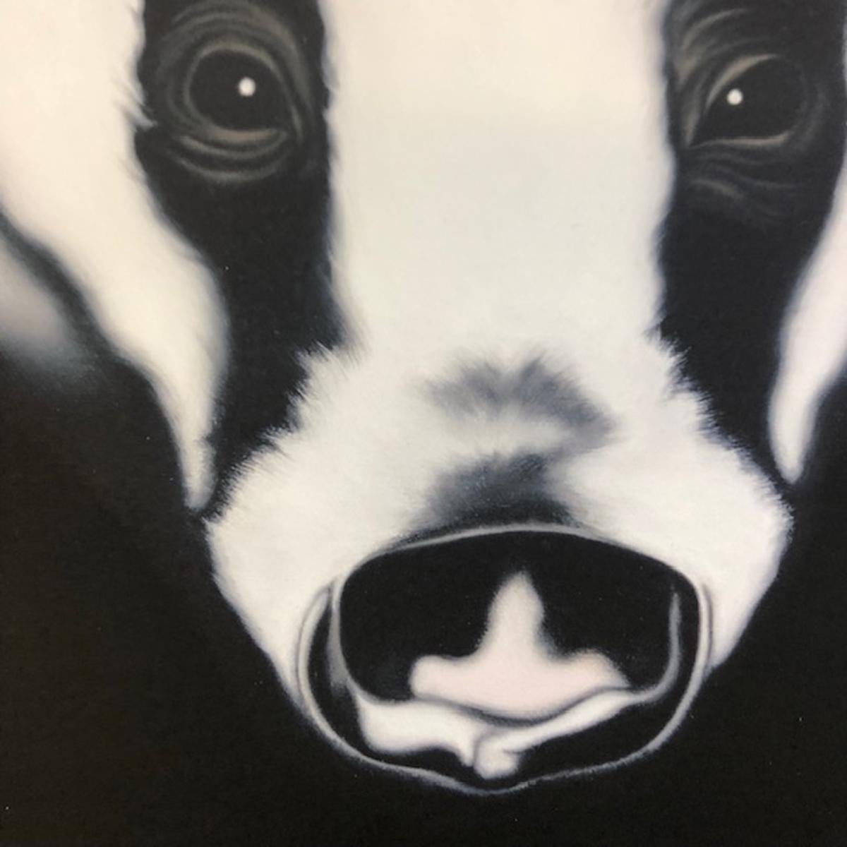 I'm Watching You, Steve Shaw, Badger Art, Animal Prints, Contemporary Print For Sale 2