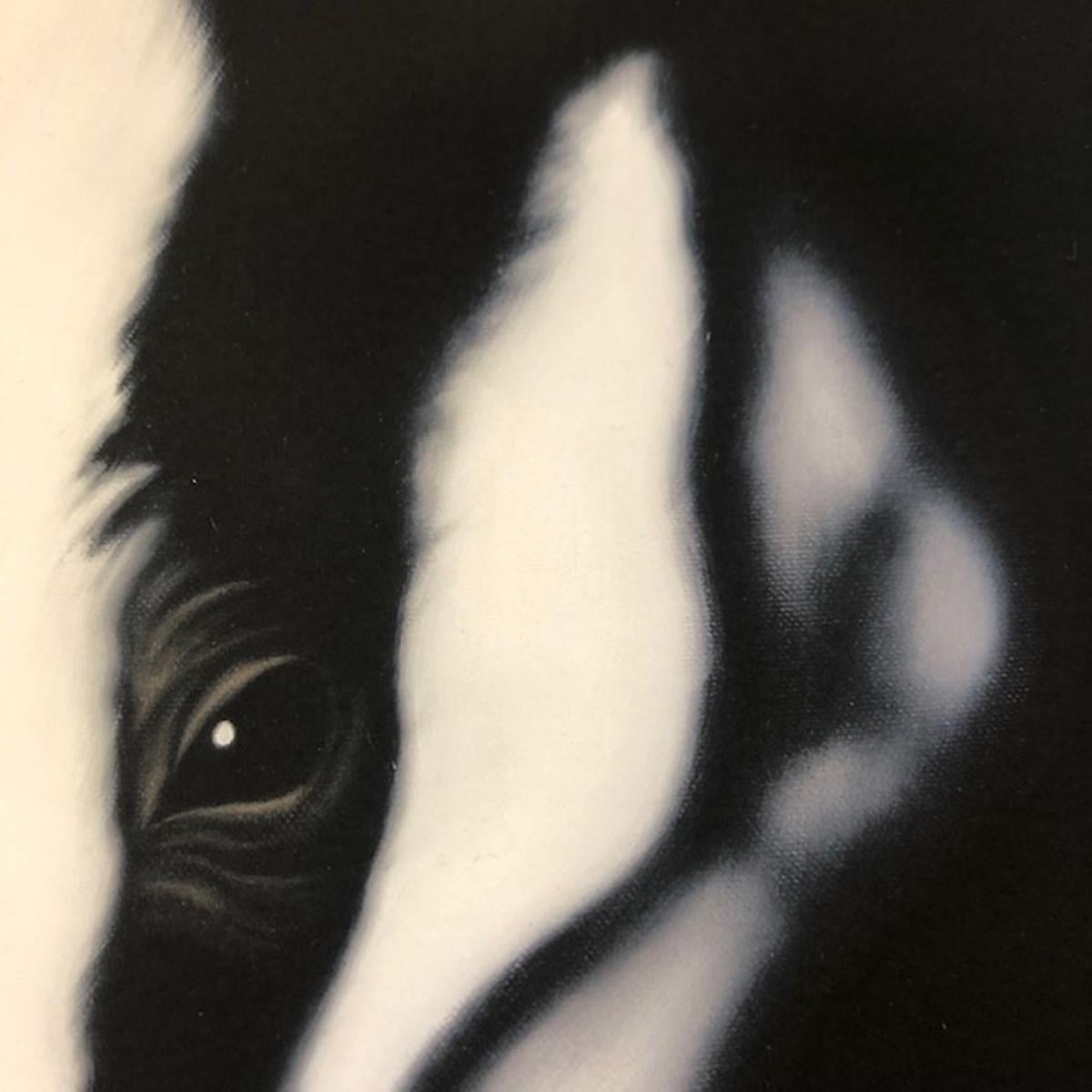 I'm Watching You, Steve Shaw, Badger Art, Animal Prints, Contemporary Print For Sale 3