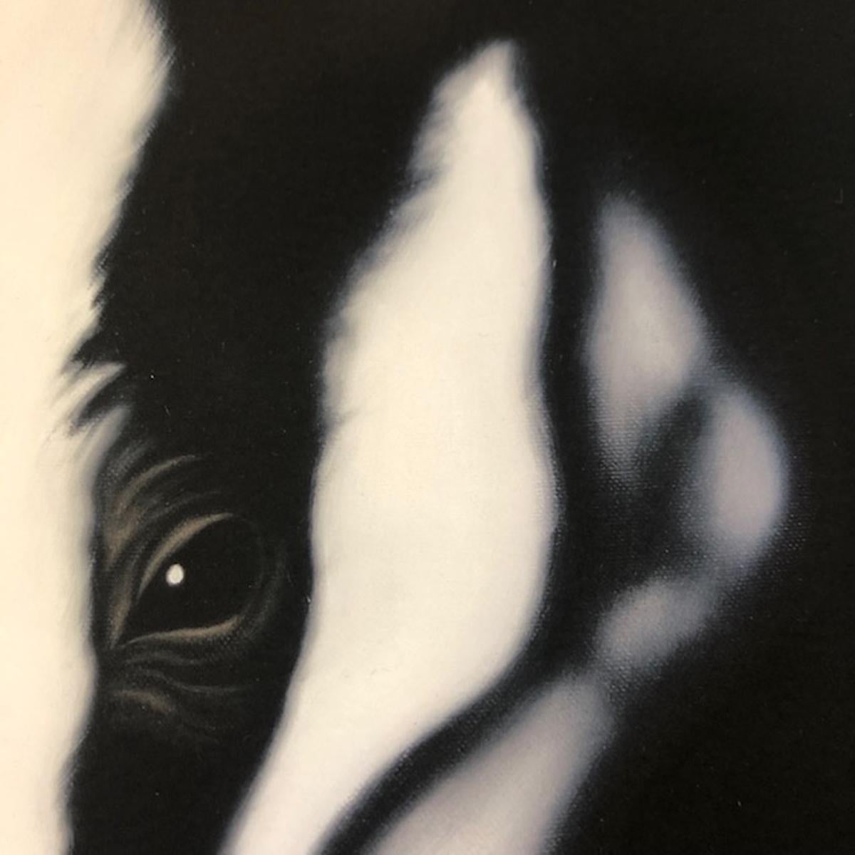I'm Watching You, Steve Shaw, Badger Art, Tierdrucke, Contemporary Print im Angebot 6