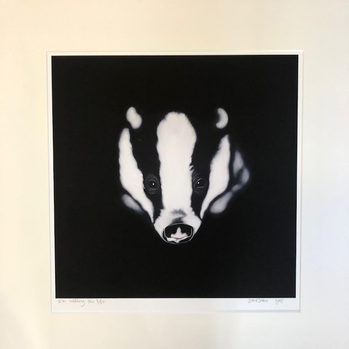 I'm Watching You, Steve Shaw, Badger Art, Animal Prints, Contemporary Print