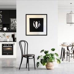 I'm Watching You, Steve Shaw, Badger Art, Animal Prints, Contemporary Print