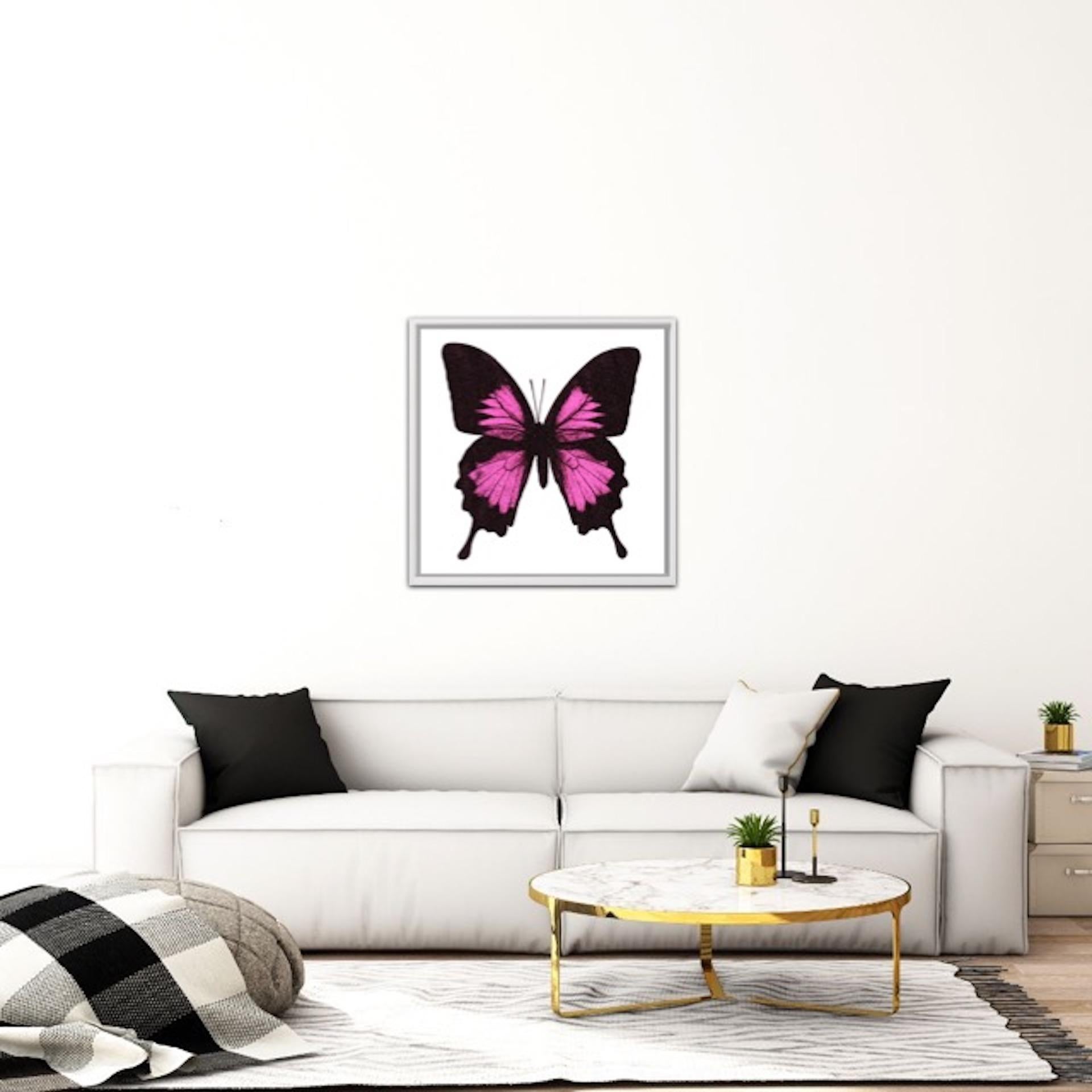 Claire Robinson, Papillio Ulysses - Neon Pink, Bright Art, Animal Art, Butterfly 3