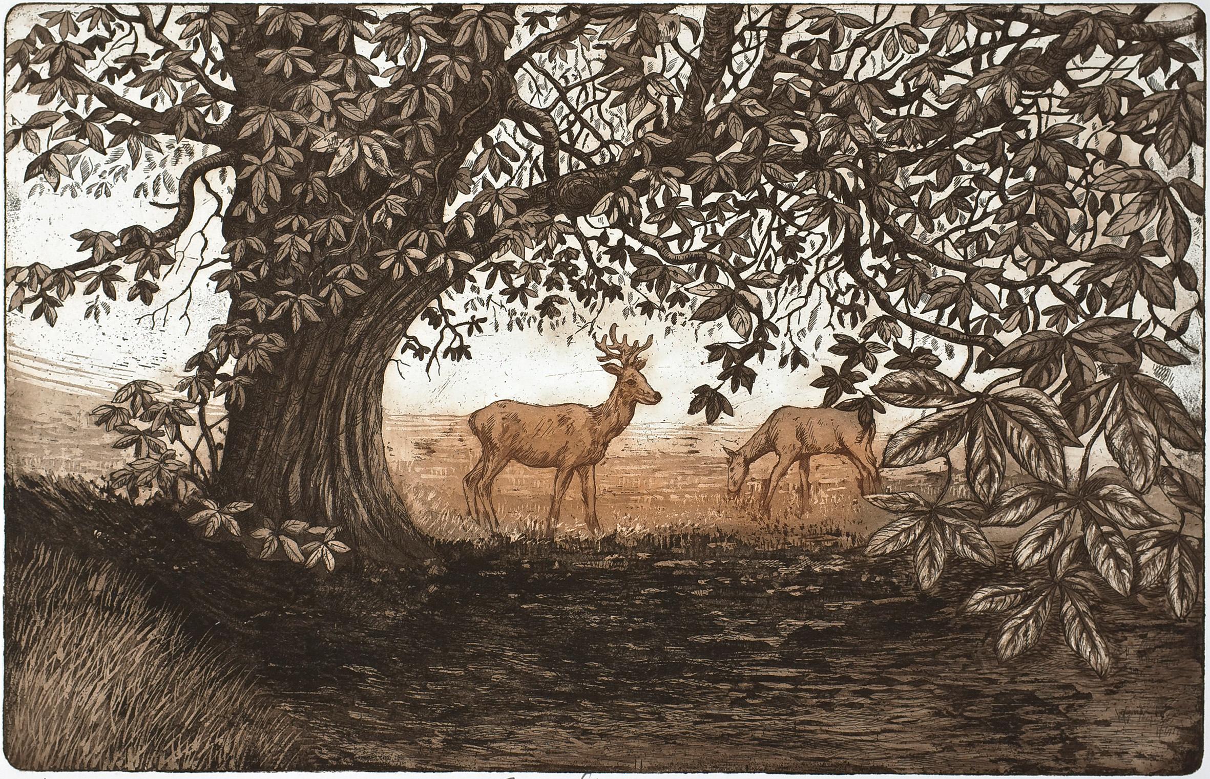 Jane Peart, Ombres d'été, Gravure de paysage, Impression d'animaux, Art des cerfs, Été