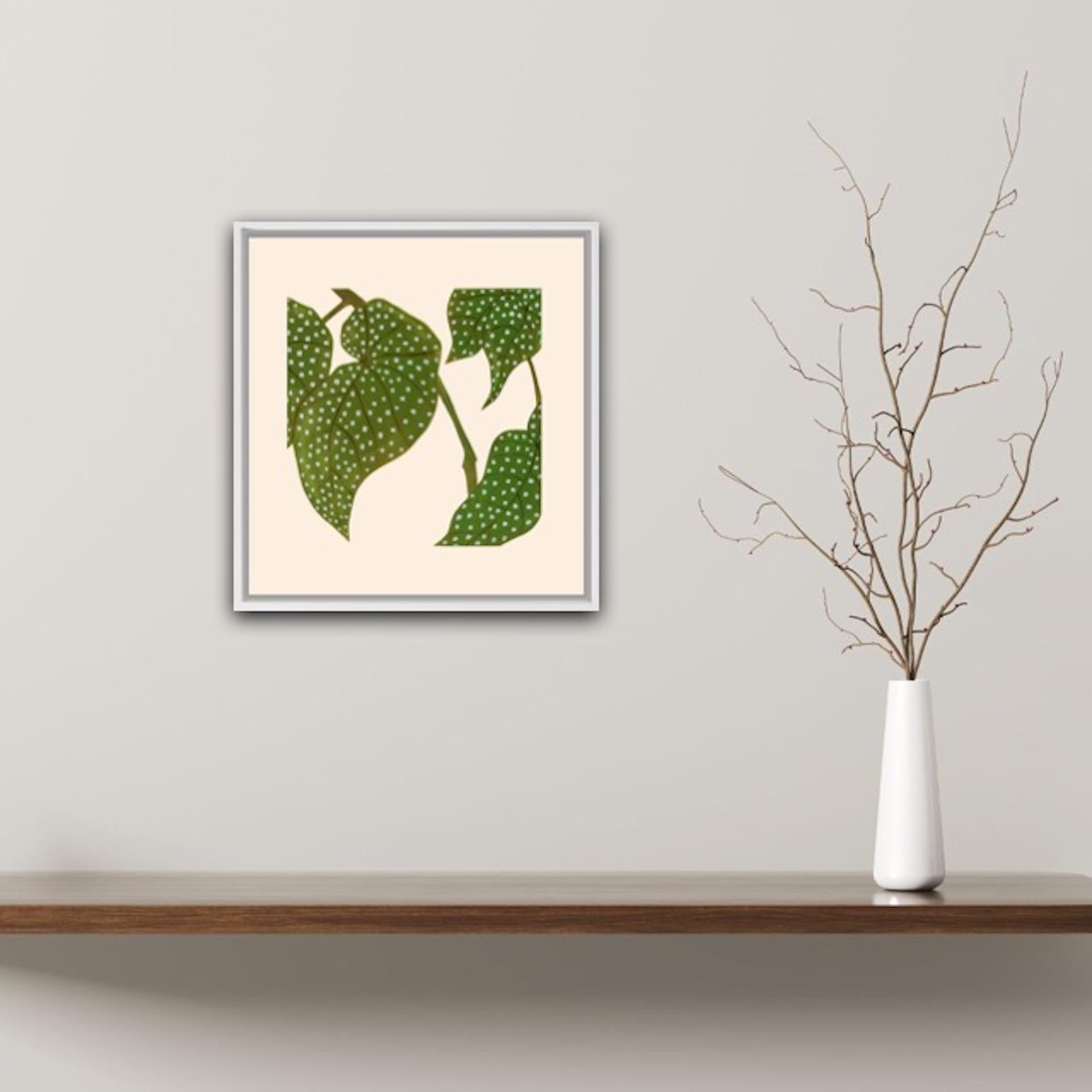 Kerry Day, Elephant Ears Begonia, Limited Edition Print, Contemporary Linocut 3