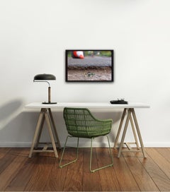 Punctured, Roy's People, Witty Art, Humorous Photography, Affordable Art
