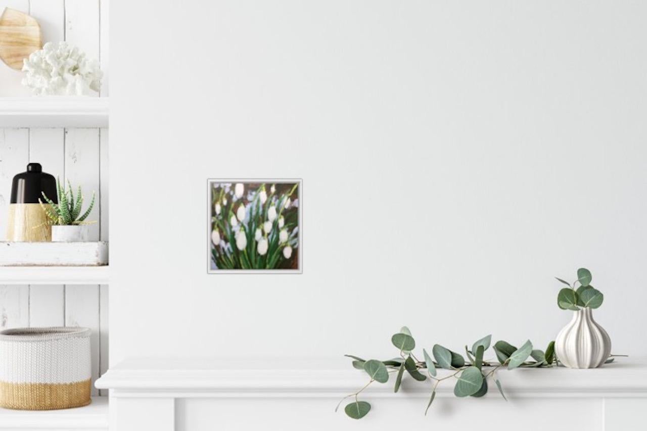 paintings of snowdrops