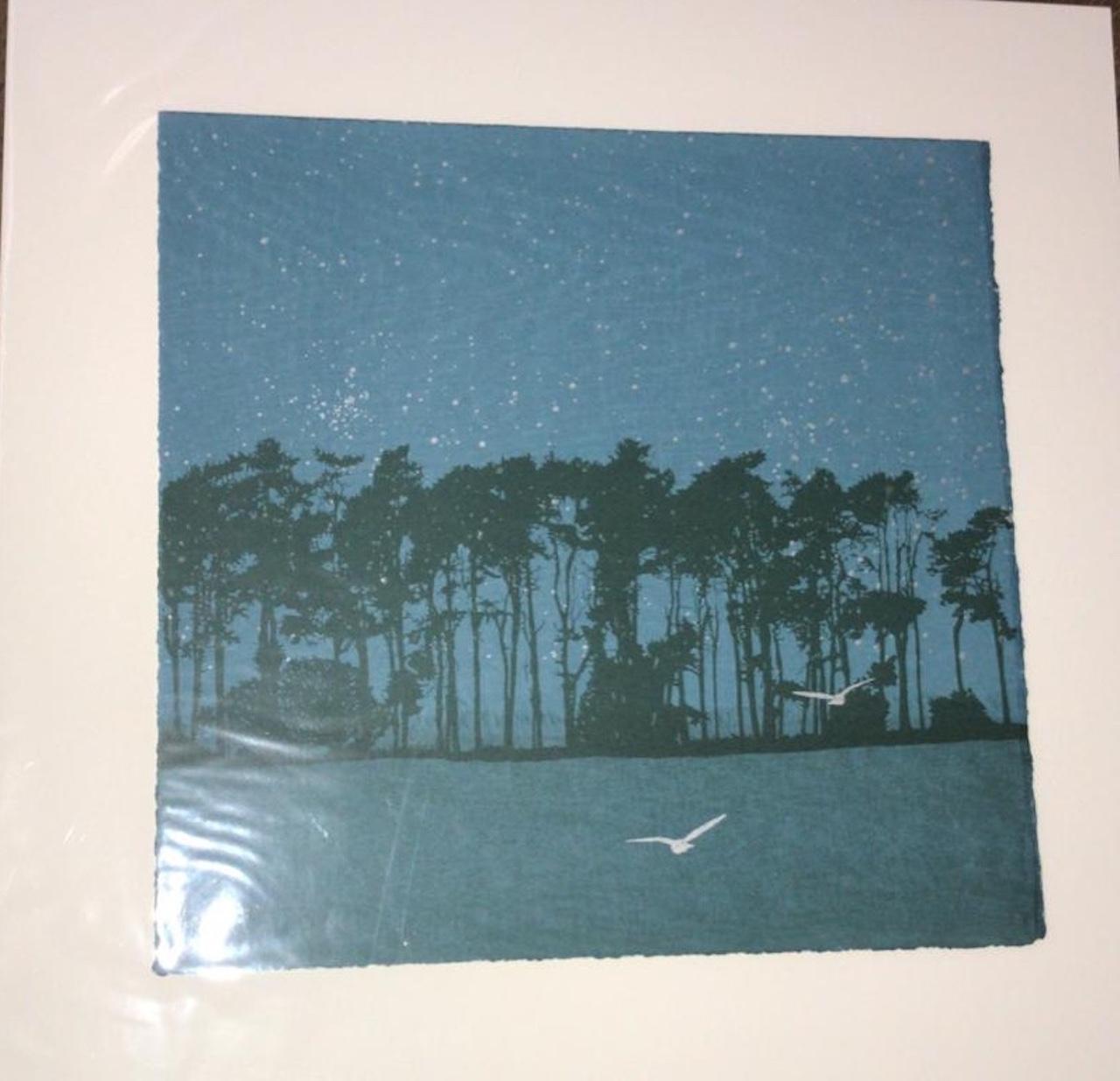 Swoop, Anna Harley, Impresión de paisaje contemporáneo, Arte minimalista asequible en venta 4