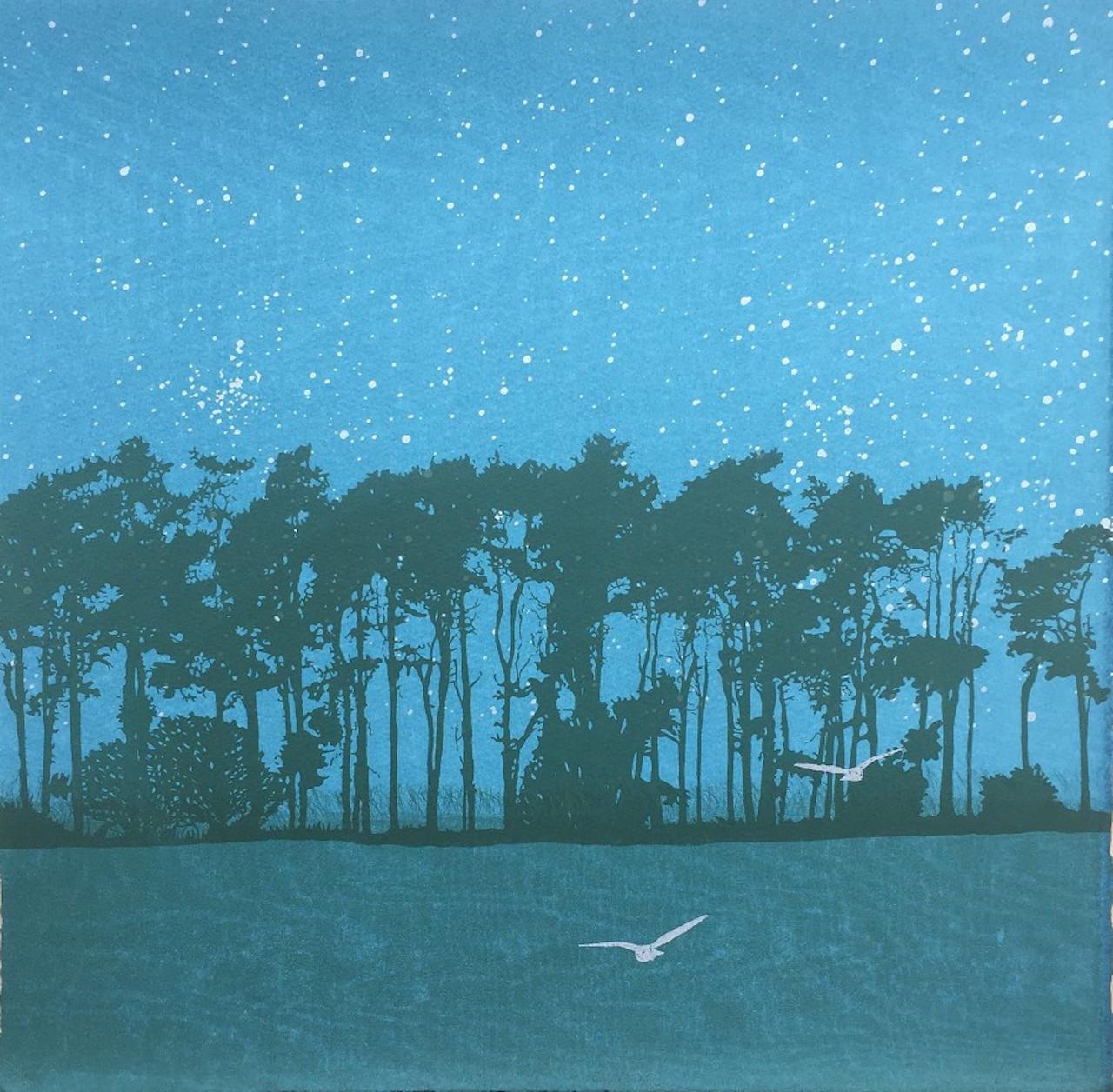 Swoop, Anna Harley, Zeitgenössischer Landschaftsdruck, minimalistische, erschwingliche Kunst