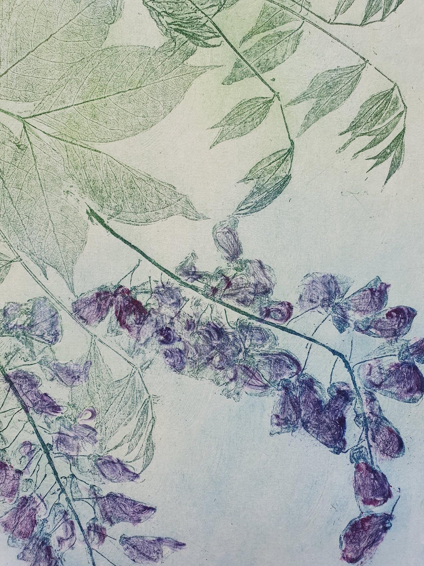 Wysteria, Charlie Davies, Limited Edition Etching, Contemporary Still Life Art For Sale 2