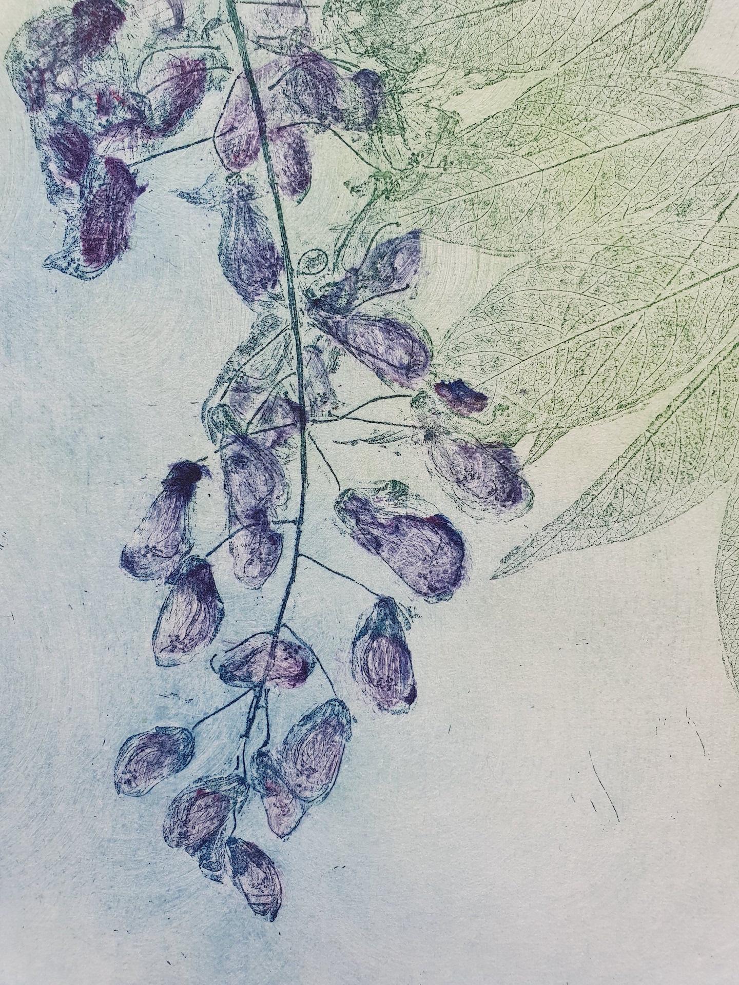 Wysteria, Charlie Davies, Limited Edition Etching, Contemporary Still Life Art For Sale 1