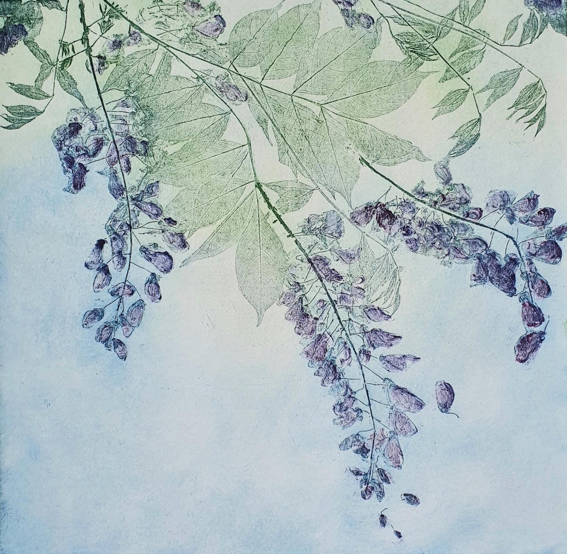 Wysteria, Charlie Davies, Limited Edition Etching, Contemporary Still Life Art For Sale 3