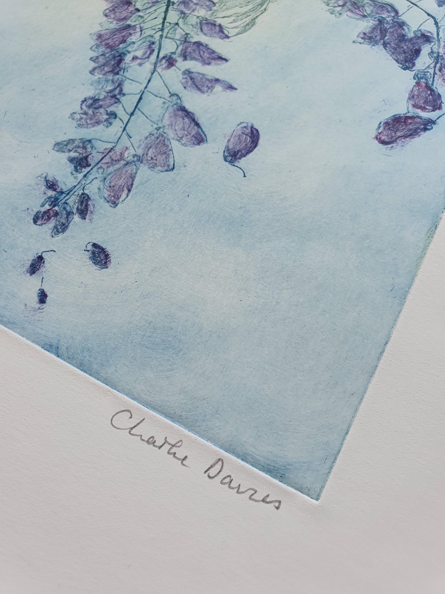 Charlie Davies
Wysteria
Original botanical etching
Soft ground etching on paper
Image Size: 35 cm x 35 cm x 1 cm
Sheet/Canvas Size: 50 cm x 50 cm x 1 cm
Unframed
Free Shipping
Please note that in situ images are purely an indication of how a piece