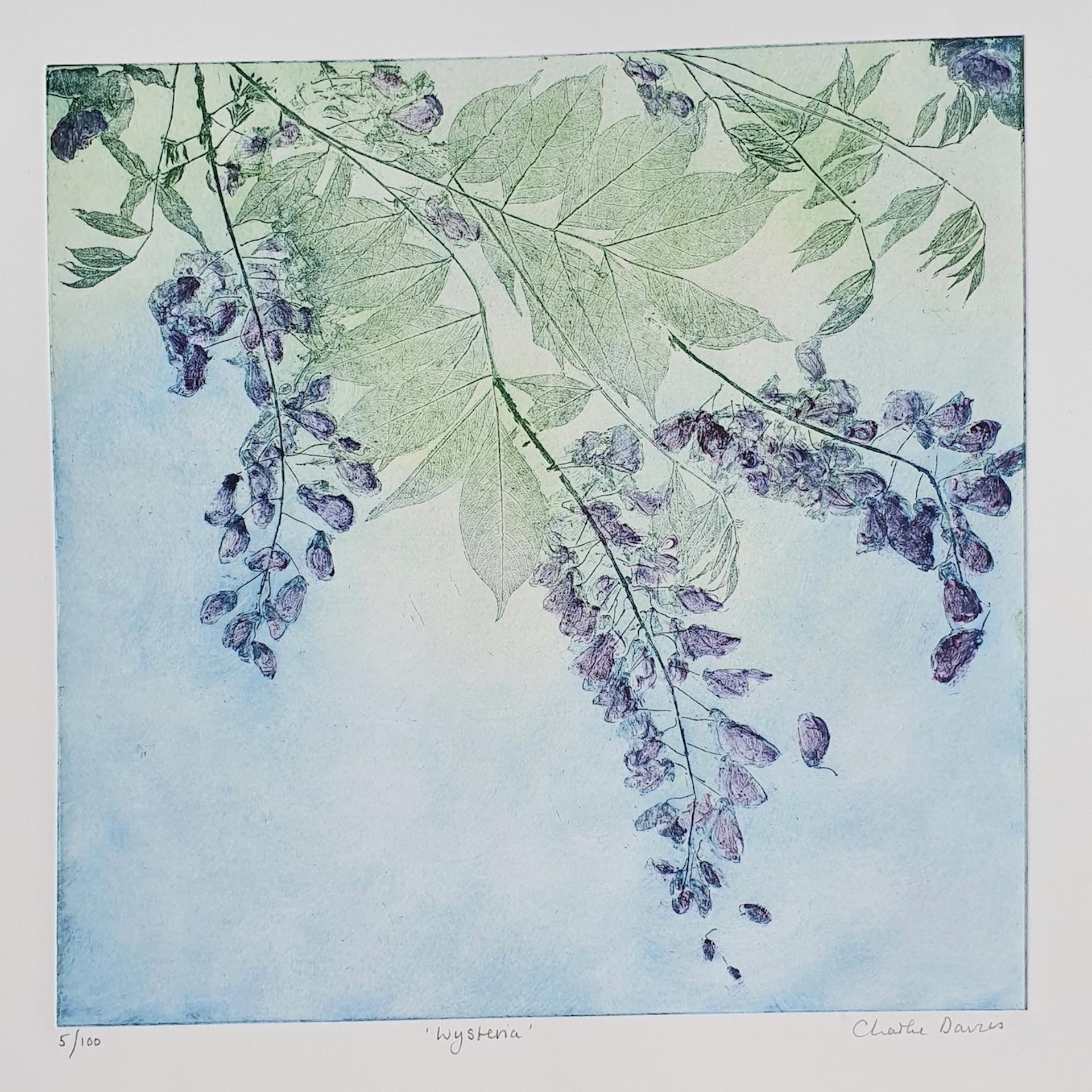 Wysteria, Charlie Davies, Limited Edition Etching, Contemporary Still Life Art