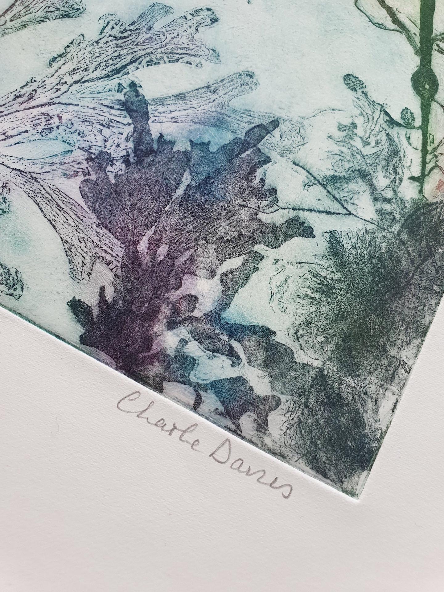 Charlie Davies, From the Depths - Multi Colour, Limited Edition Botanical Print For Sale 2
