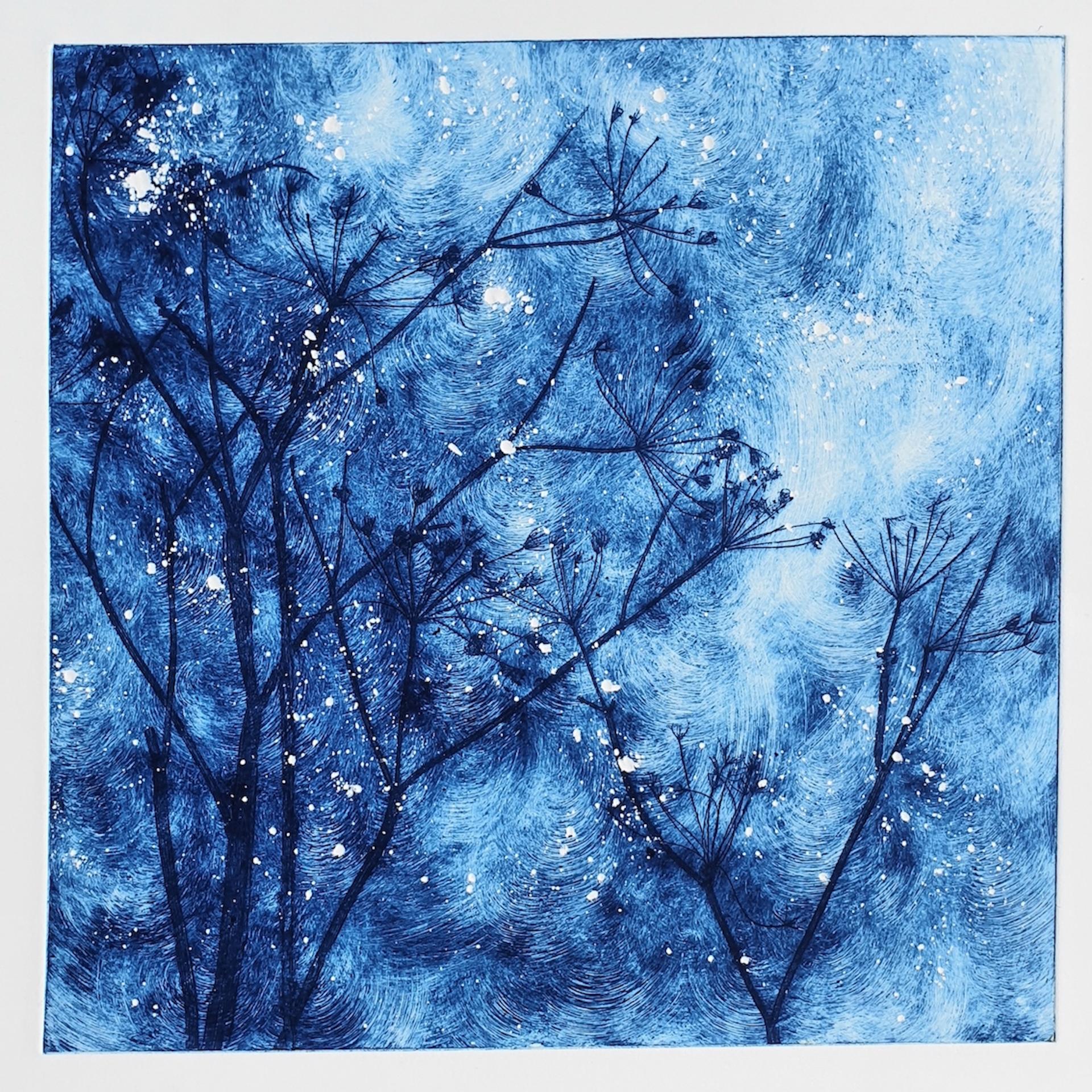 Charlie Davies, Winter winds, Contemporary Limited Edition Botanical Prints