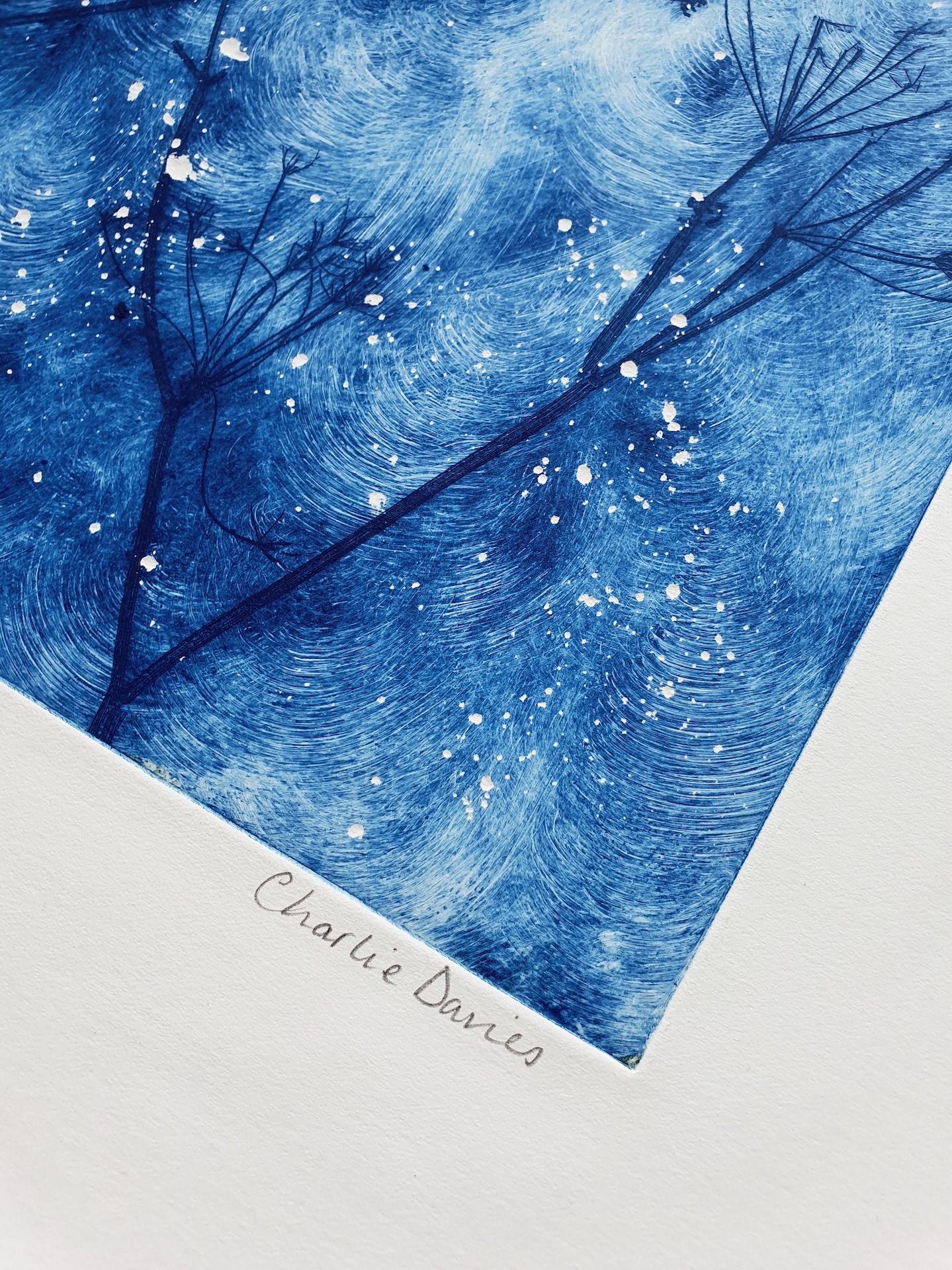 Charlie Davies
Winter winds
Original botanical etching
Soft ground etching on paper
Image Size: 35 cm x 35 cm x 1 cm
Sheet/Canvas Size: 50 cm x 50 cm x 1 cm
Unframed
Free Shipping
Please note that in situ images are purely an indication of how a