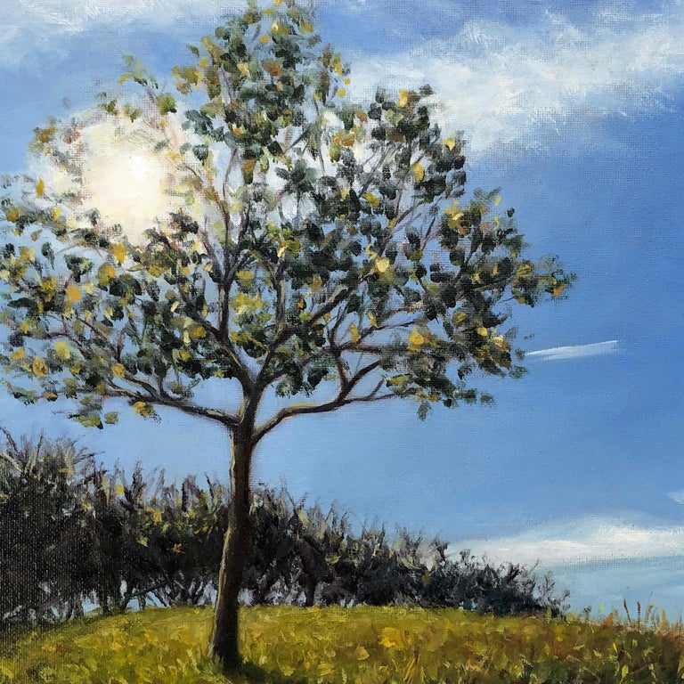 Marie Robinson, Sunlit Tree, Original Realist Landscape Painting, Uplifting Art For Sale 3