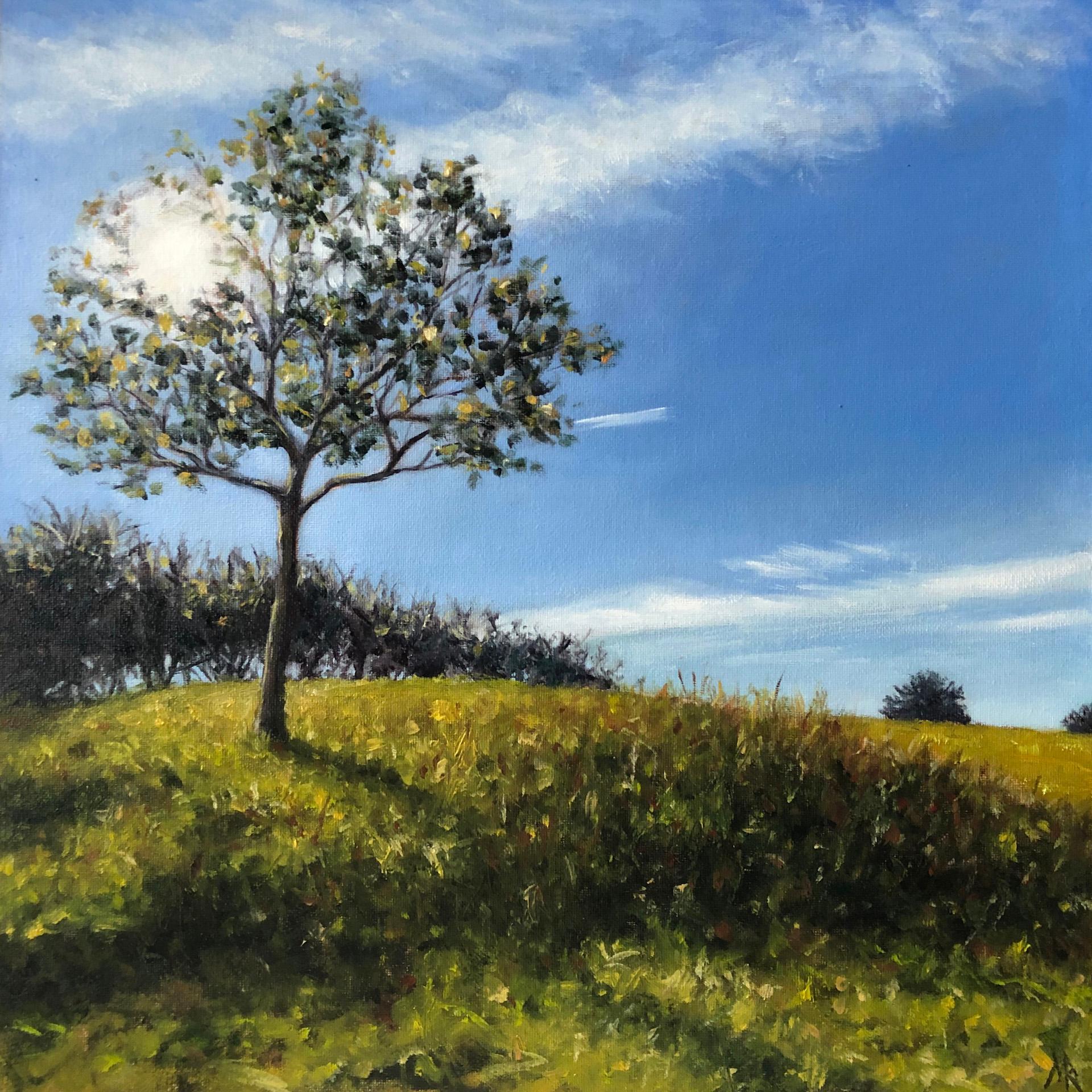Marie Robinson, Sunlit Tree, Original Realist Landscape Painting, Uplifting Art