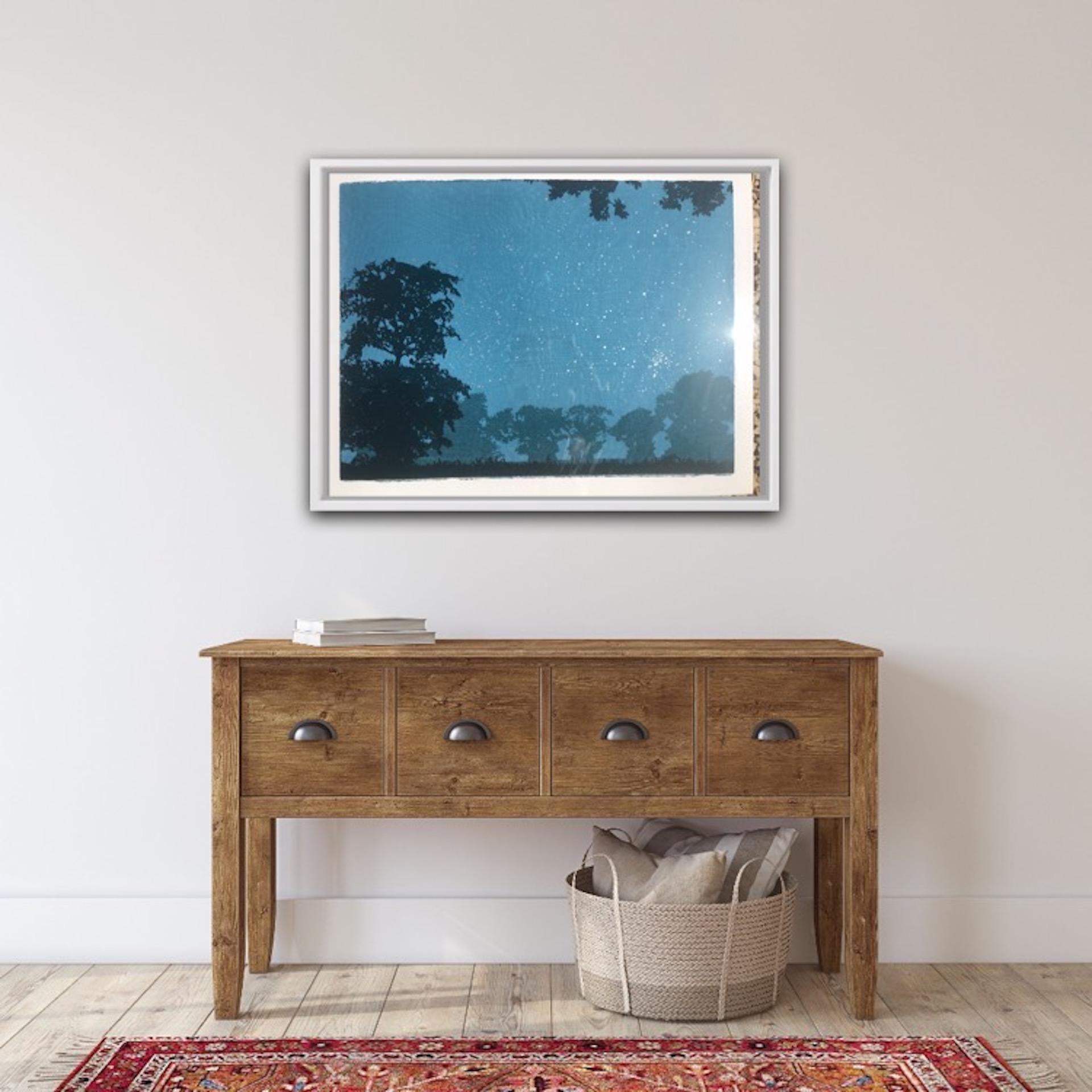 Anna Harley, Starlight, Bright Landscape Print, Contemporary Screen Print Art For Sale 6