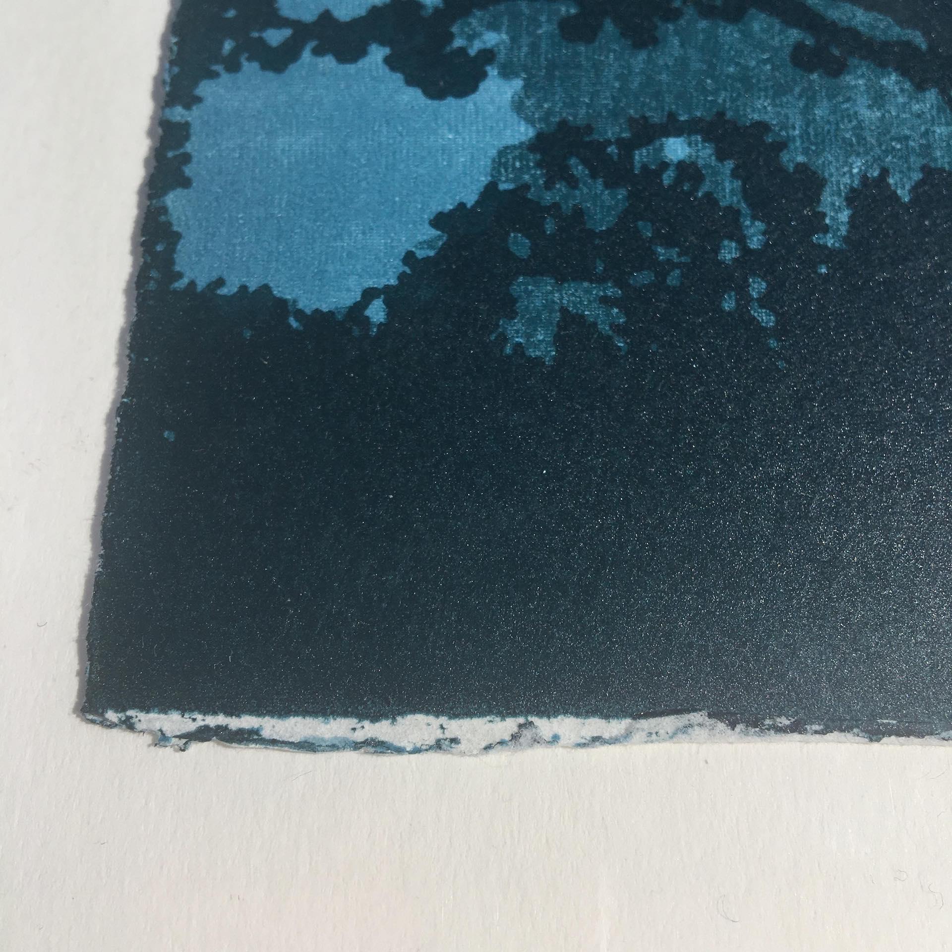 Anna Harley, Starlight, Bright Landscape Print, Contemporary Screen Print Art For Sale 3