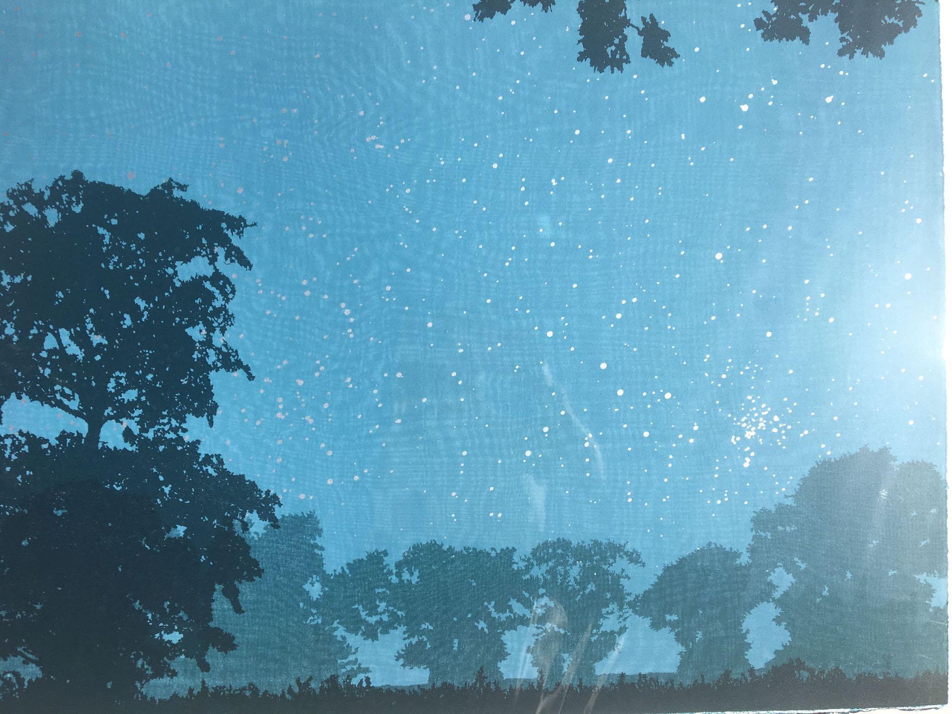 Anna Harley, Starlight, Bright Landscape Print, Contemporary Screen Print Art