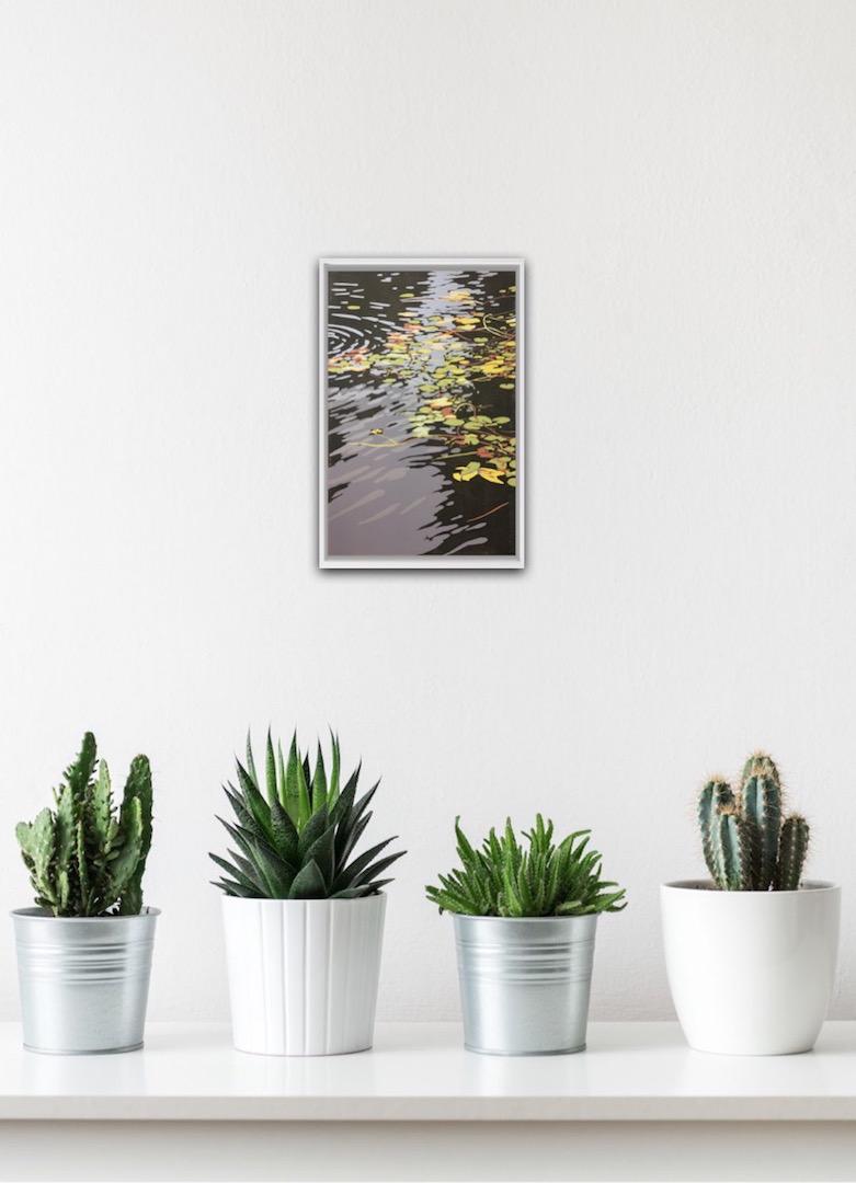 Alexandra Buckle, Lilies and Ripples, Affordable Art, Limited Edition Print 1