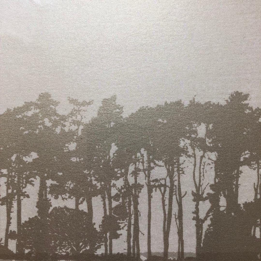 Anna Harley, Pines Mini, Seidendruck in limitierter Auflage, preisgekrönte Kunst im Angebot 3