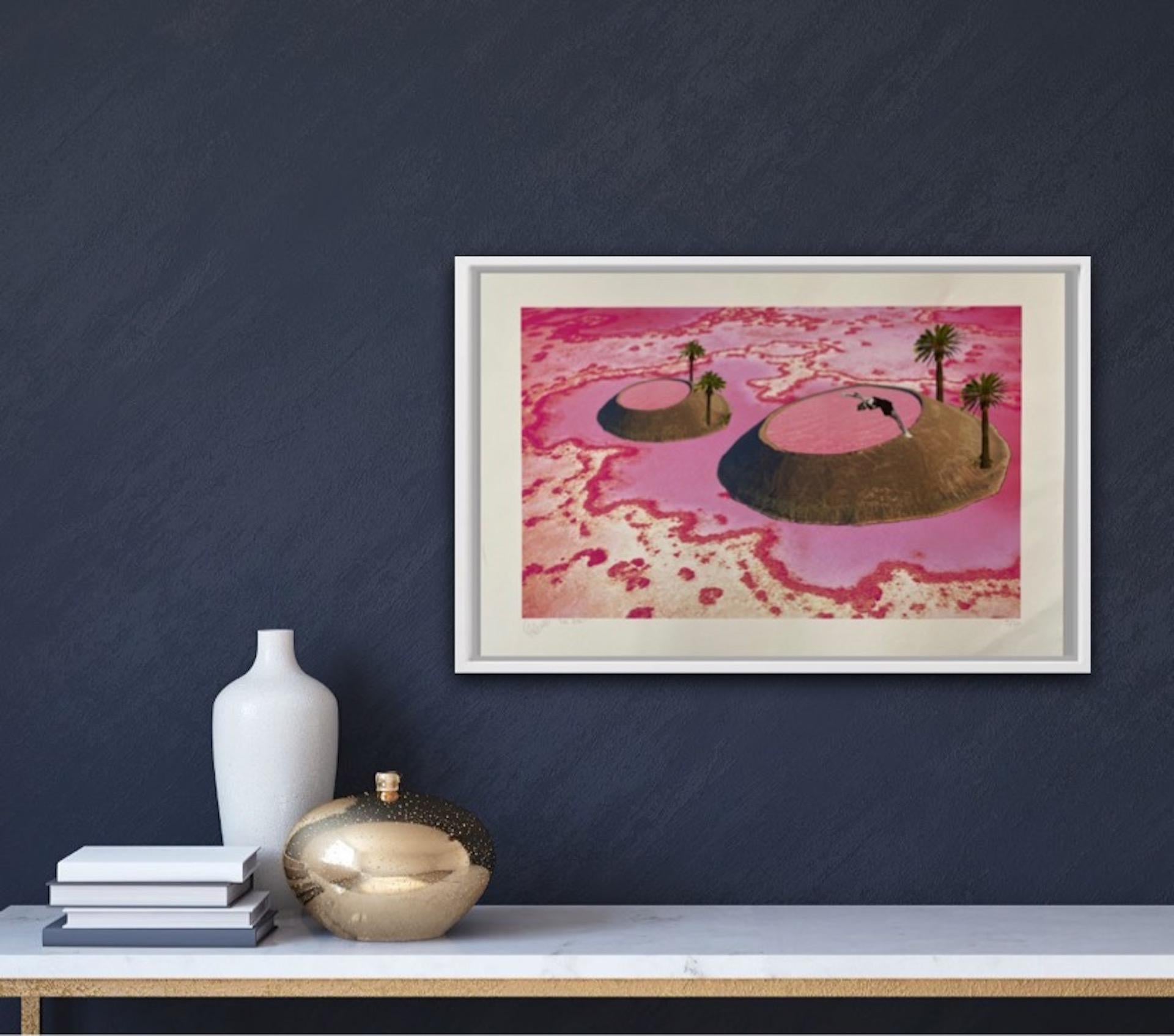 Fei Alexeli, Lac Rose, Limited Edition Print, Contemporary Art, Affordable Art For Sale 6