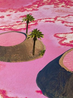 Fei Alexeli, Lac Rose, Limited Edition Print, Contemporary Art, Affordable Art