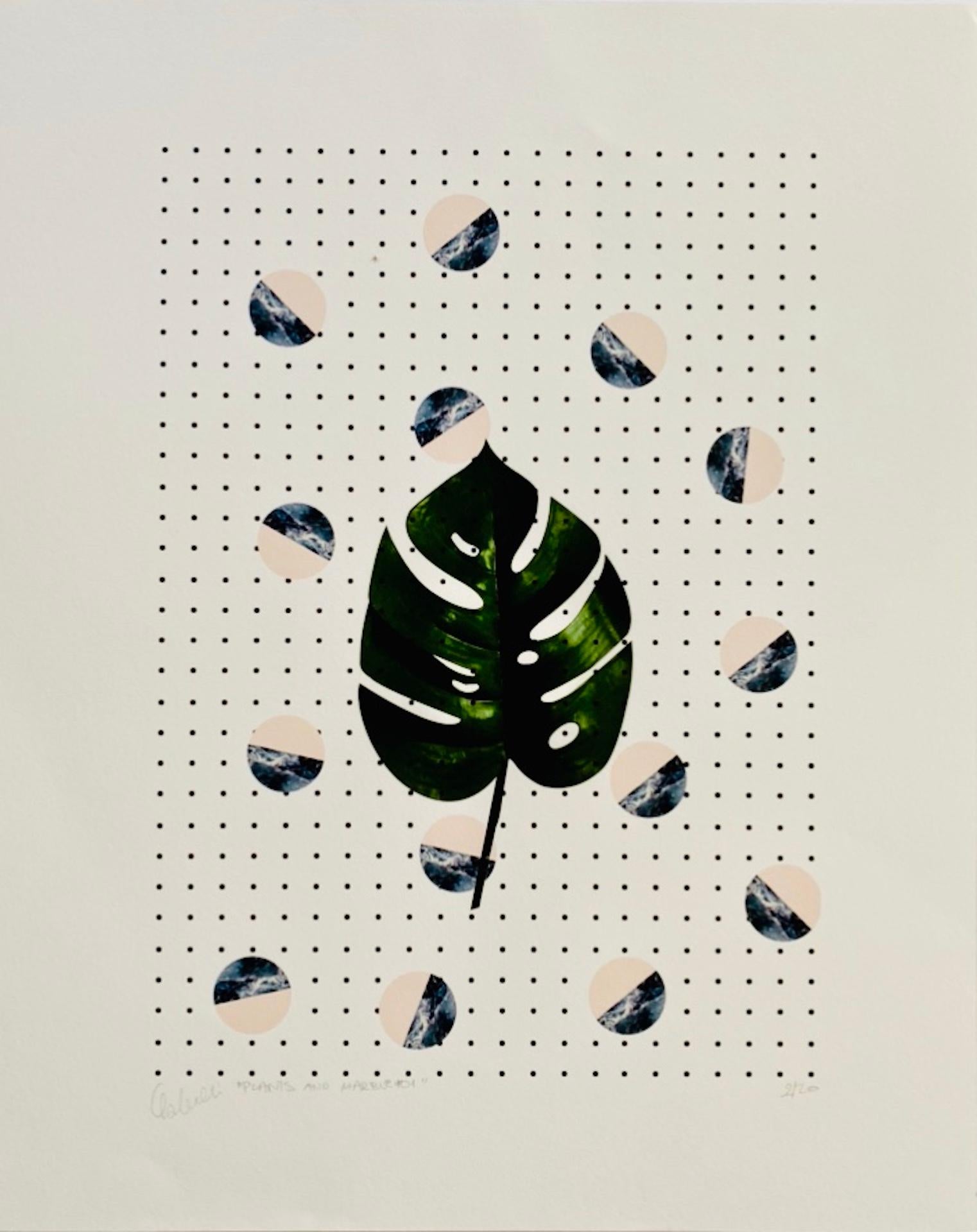 Fei Alexeli, Piante e marmo #1, Stampa in edizione limitata, Arte accessibile