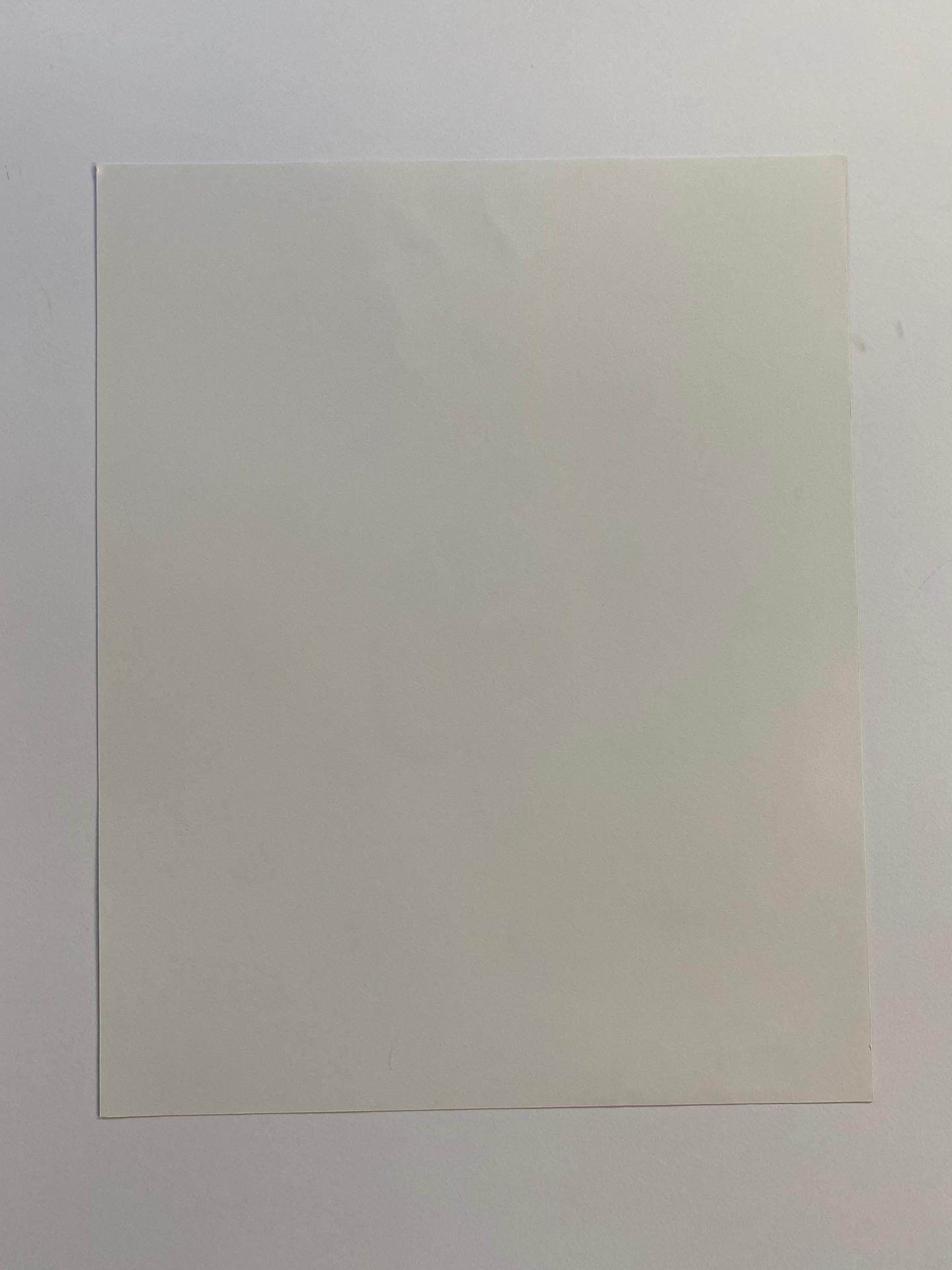Fei Alexeli, Piante e marmo #1, Stampa in edizione limitata, Arte accessibile in vendita 4