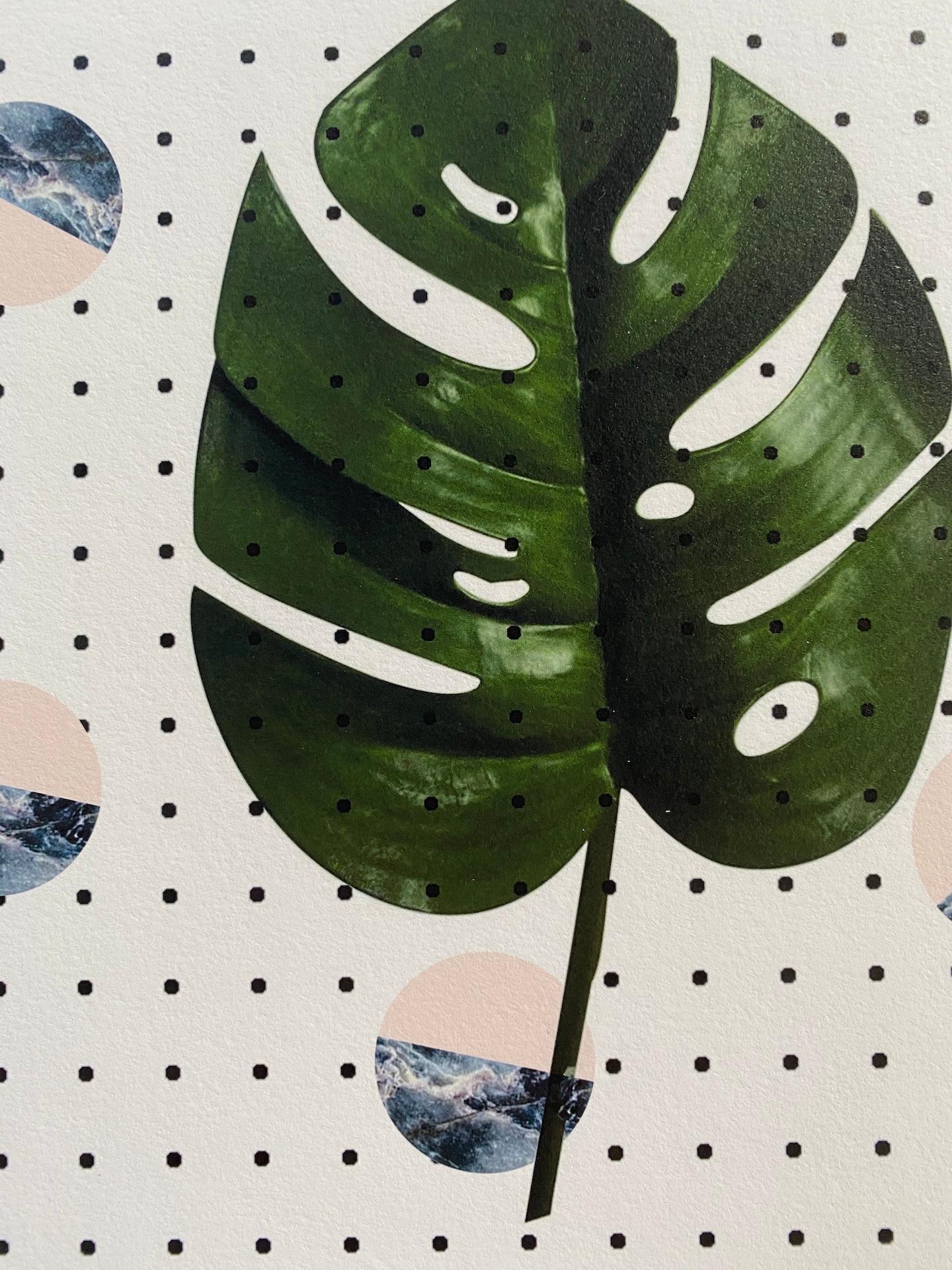 Fei Alexeli, Plants and Marble n°1, estampe en édition limitée, art abordable en vente 3