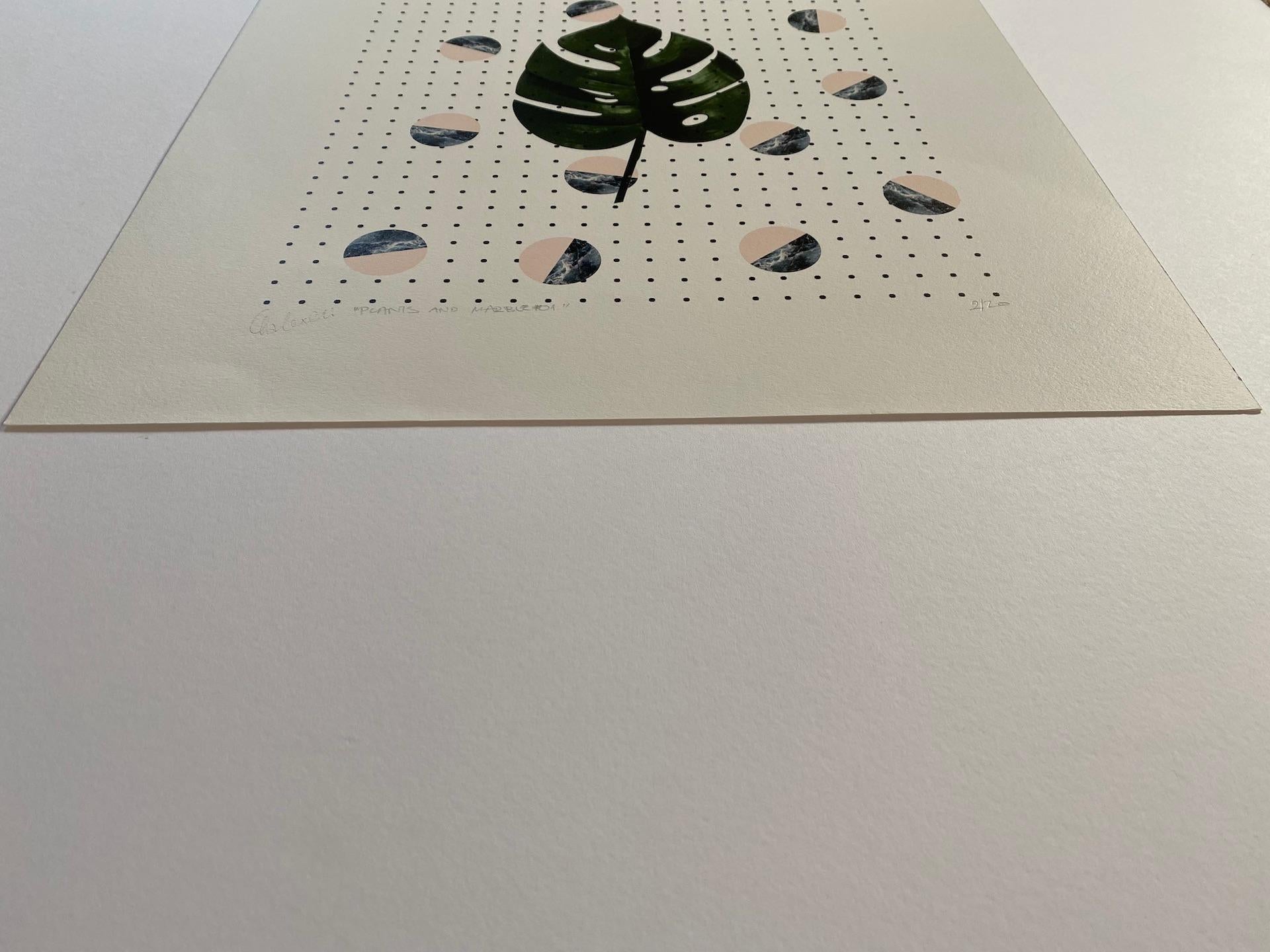 Fei Alexeli, Plants and Marble n°1, estampe en édition limitée, art abordable en vente 5
