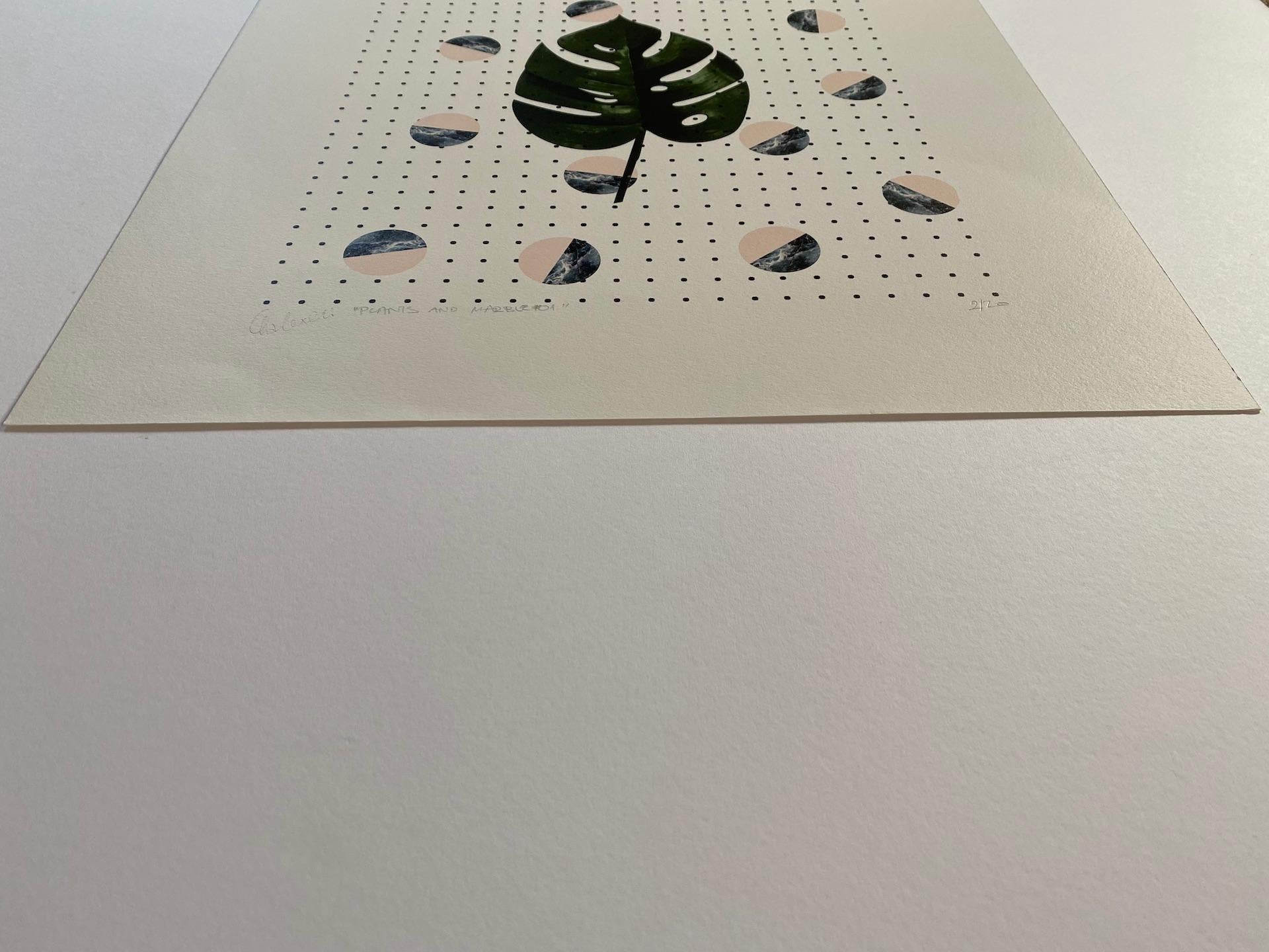 Fei Alexeli, Piante e marmo #1, Stampa in edizione limitata, Arte accessibile in vendita 5
