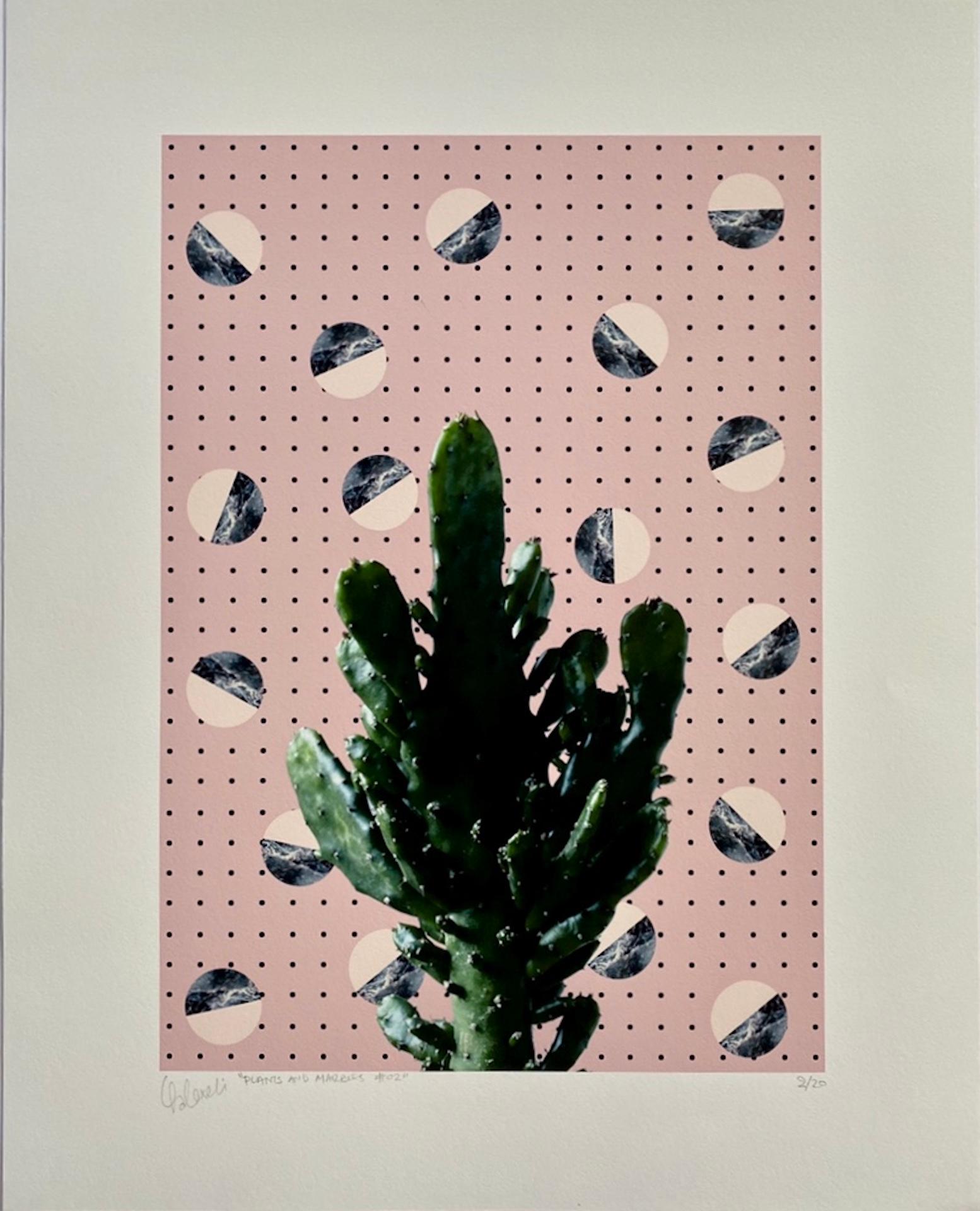 Fei Alexeli, Plants and Marble #2, Limited Edition Print, Affordable Art