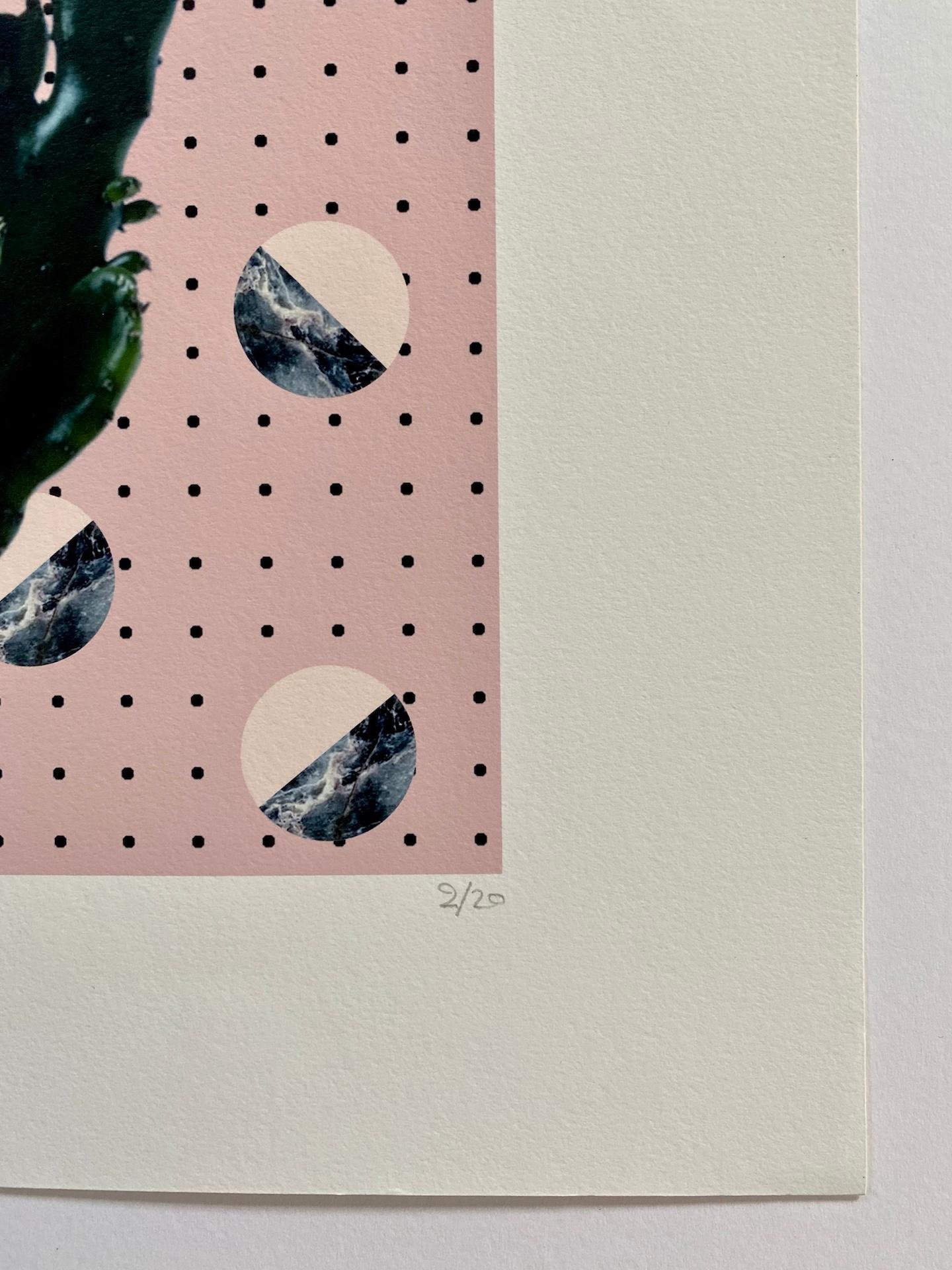 Fei Alexeli
Plants and Marble #2
Limited Edition Print
Giclee Print
Edition of 20
Image Size : H 38cm x W 27cm
Sheet Size: H 50cm x W 40cm
(Please note that in situ images are purely an indication of how a piece may look).

Plants and Marble #2 is a