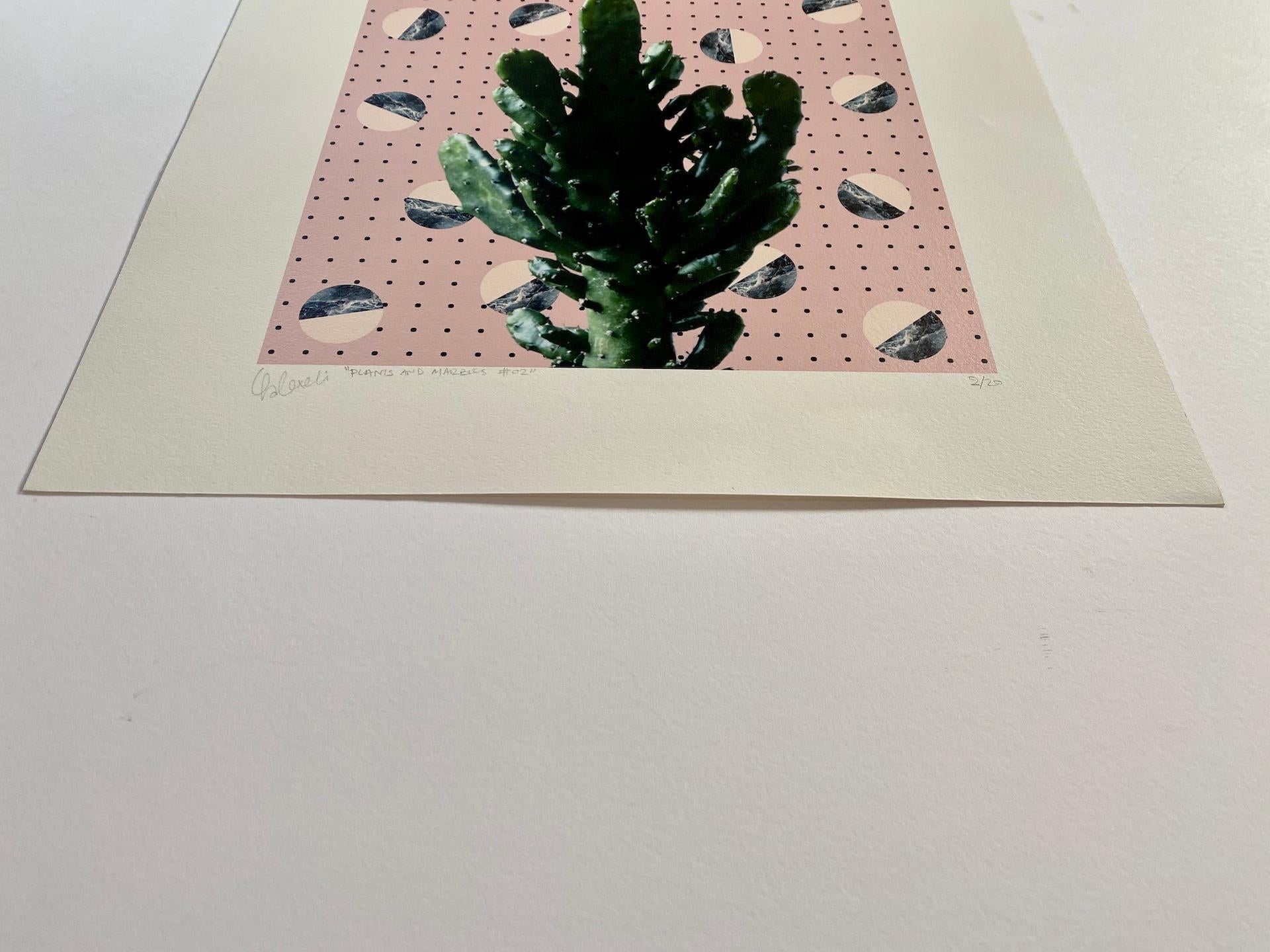 Fei Alexeli, Plants and Marble #2, Limited Edition Print, Affordable Art 4