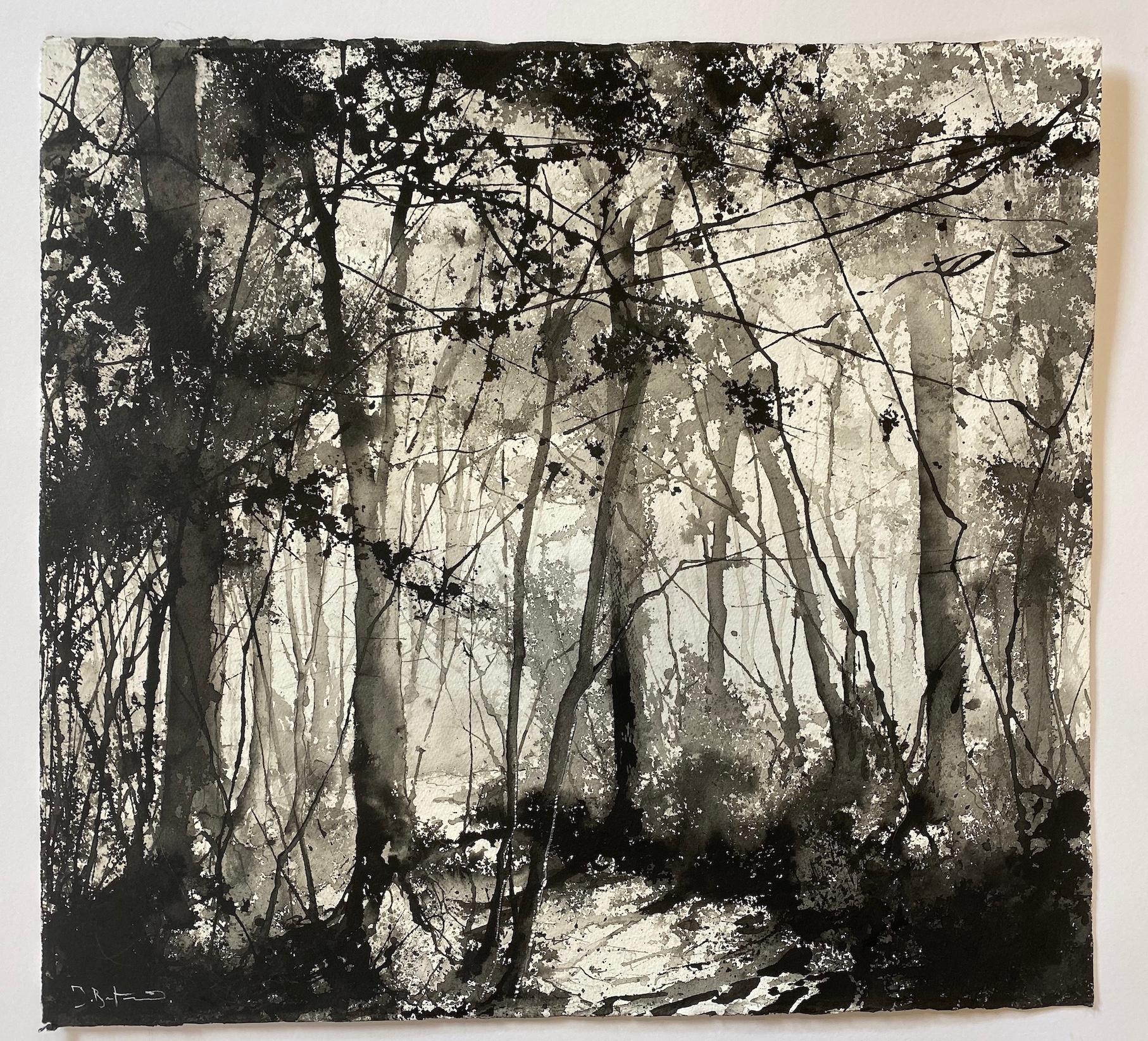 James Bonstow
Beechwood at Greenway
Original Landscape
Ink and Watercolour on Paper
Size: H 57cm x W 61.5cm x D 0.1cm
(Please note that in situ images are purely an indication of how a piece may look).

Beechwood at Greenway is an original ink and
