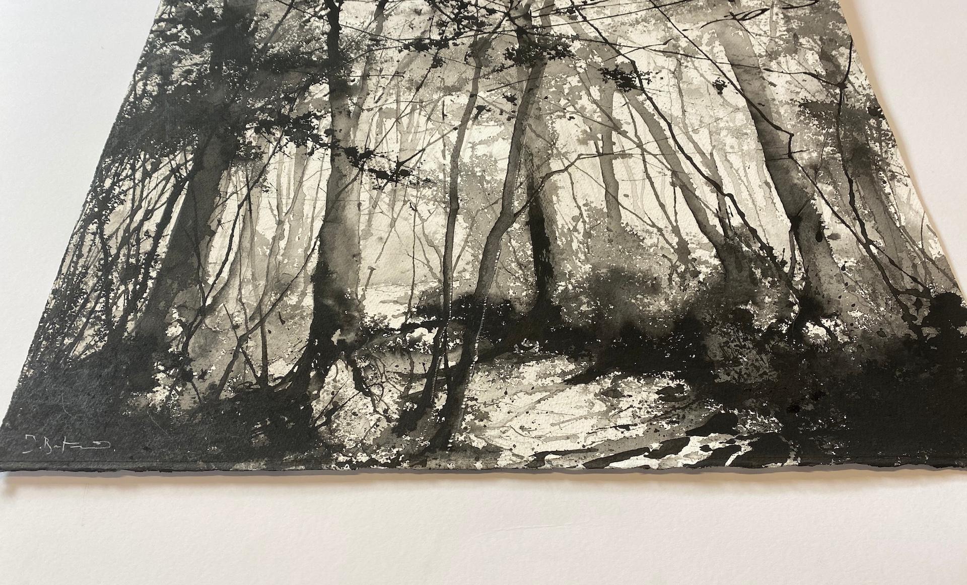 James Bonstow, Beechwood at Greenway, Original Landscape, Woodland Art 4