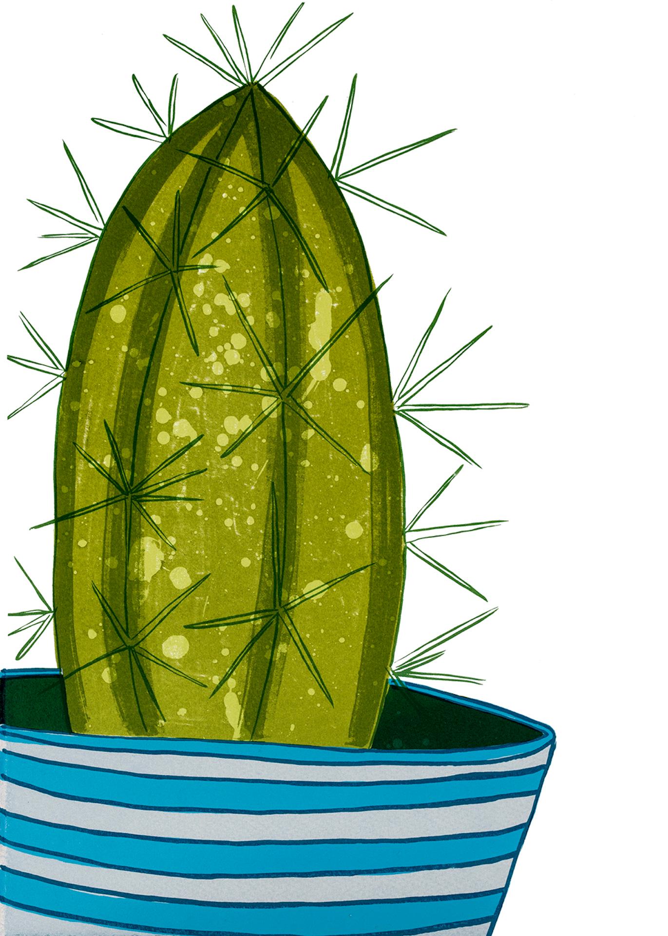 Kerry Day, Cactus II, Erschwingliche Kunst, Kaktuskunst, Pflanzenkunst, Stilllebenkunst