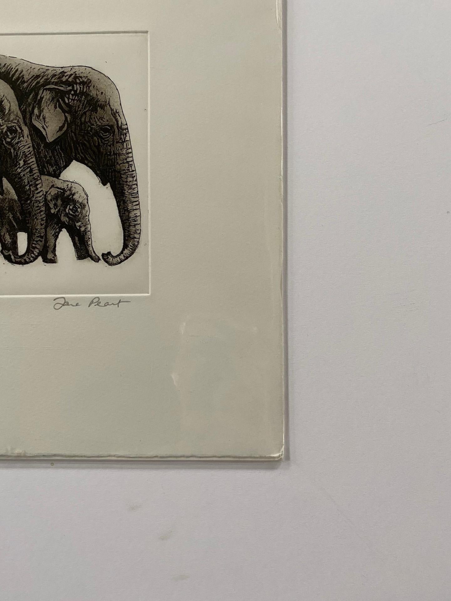 Jane Peart, Famiglia di elefanti, Stampa all'acquaforte in edizione limitata, Arte degli elefanti in vendita 2