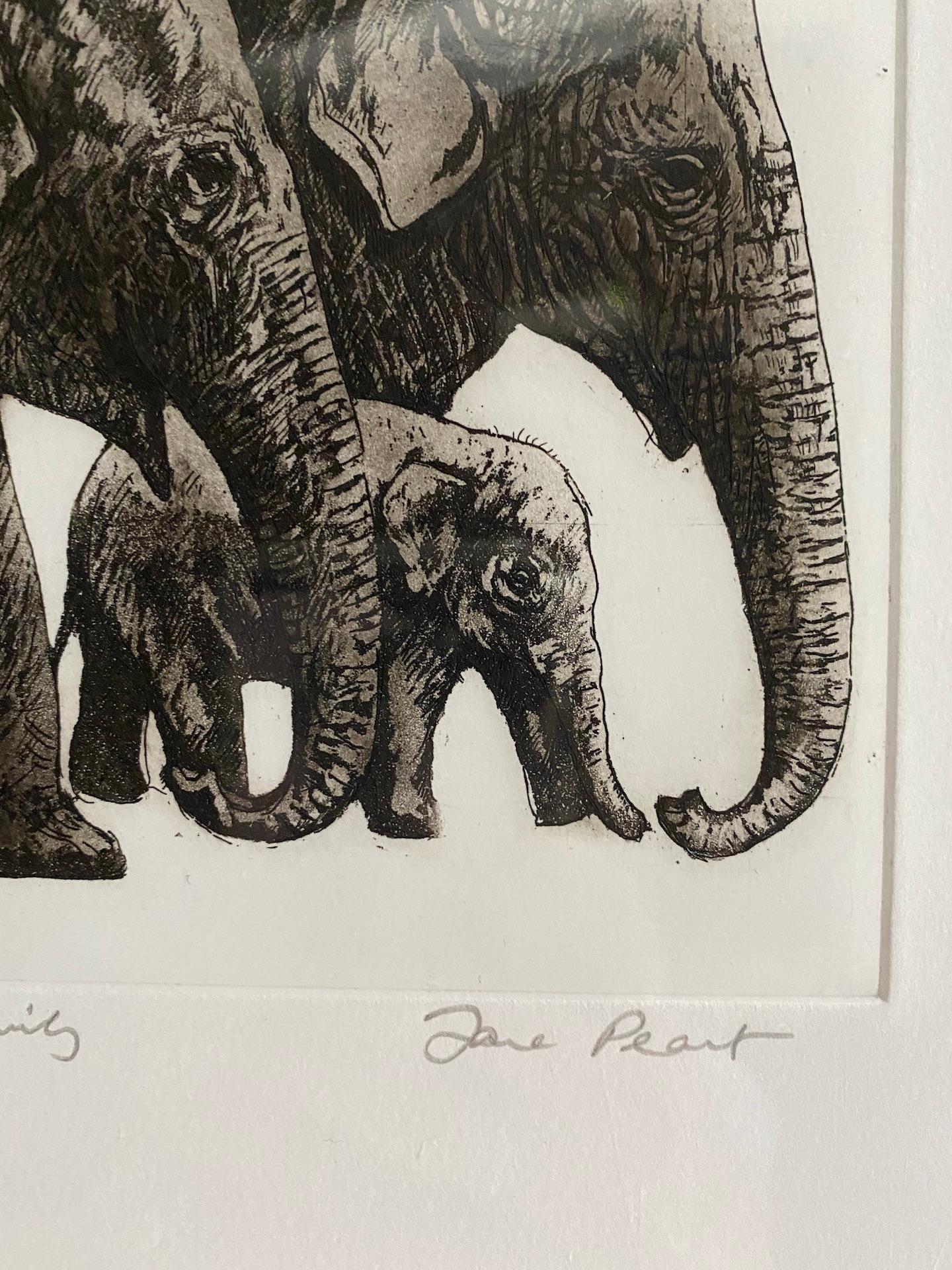 Jane Peart, Famiglia di elefanti, Stampa all'acquaforte in edizione limitata, Arte degli elefanti in vendita 4