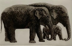 Jane Peart, famille éléphant, gravure à l'eau-forte en édition limitée, art éléphant