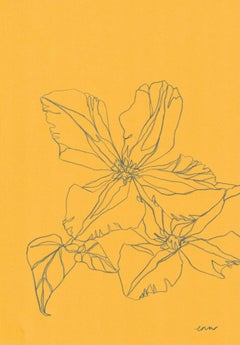 Ellen Williams, Clematis III, Original drawing, Affordable Art, Floral Drawing, 