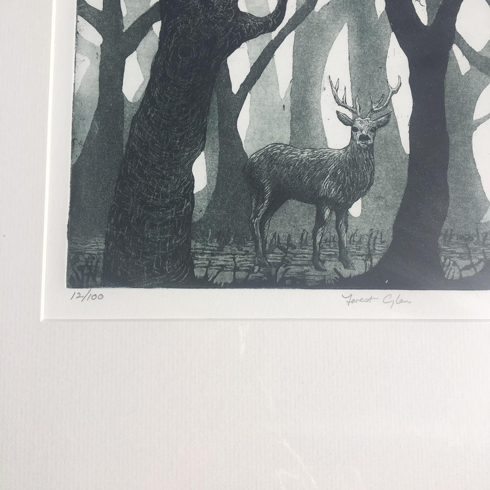 Jane Peart, Forest Glen,  Limited Edition Etching Print, Woodland Art For Sale 1