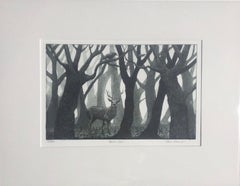 Jane Peart, Forest Glen,  Limited Edition Etching Print, Woodland Art