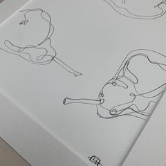 Francesca Henderson, Williams Pear 5, Original Still Life Drawing, Art Online