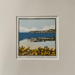 Die Schnitzerei von Fiona Carver, Gorse at Borthwen, Meereslandschaftskunst, Erschwingliche Kunst, Meereskunst