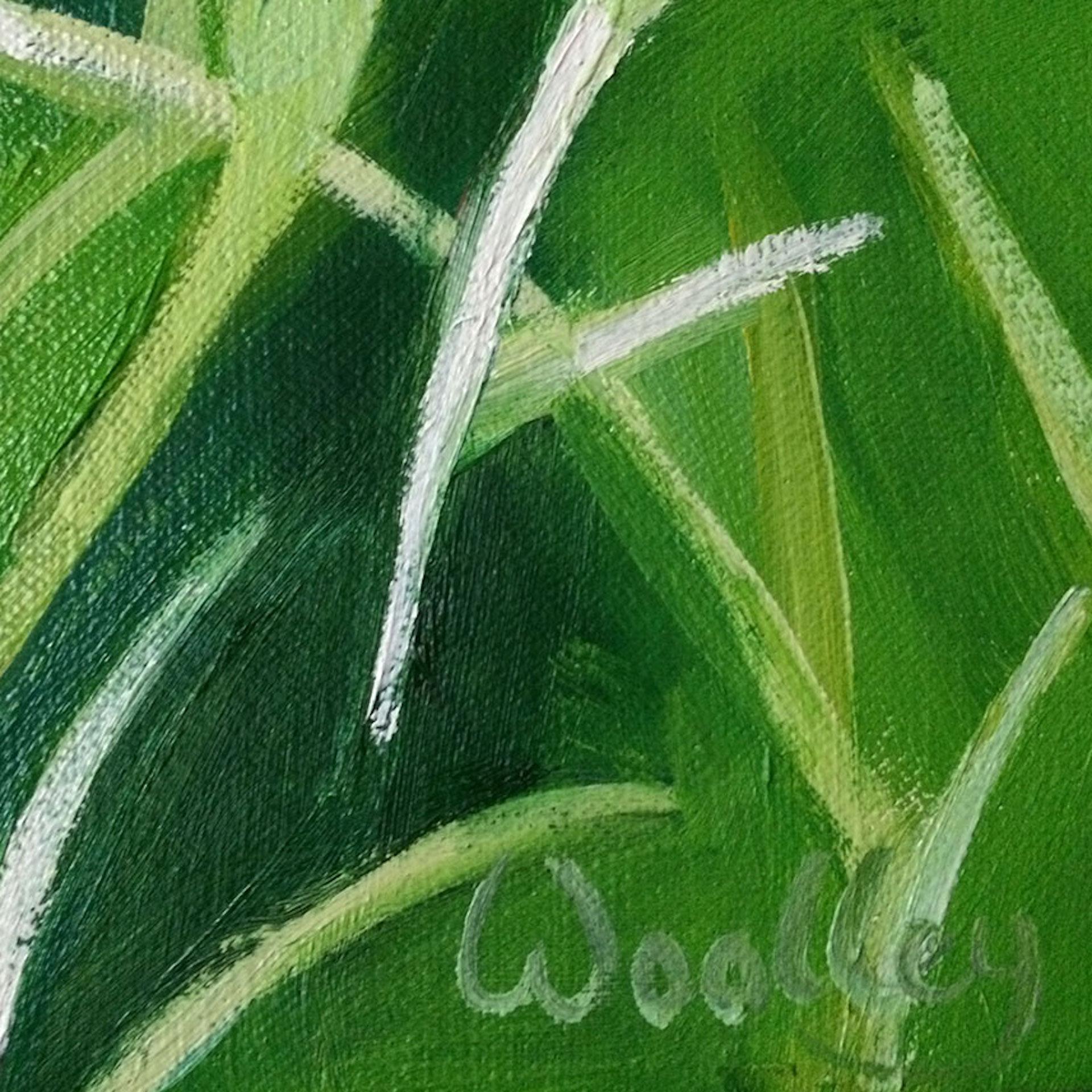Eleanor Woolley, Cotswold Poppies, Landscape Art, Affordable Art, Floral Art 3